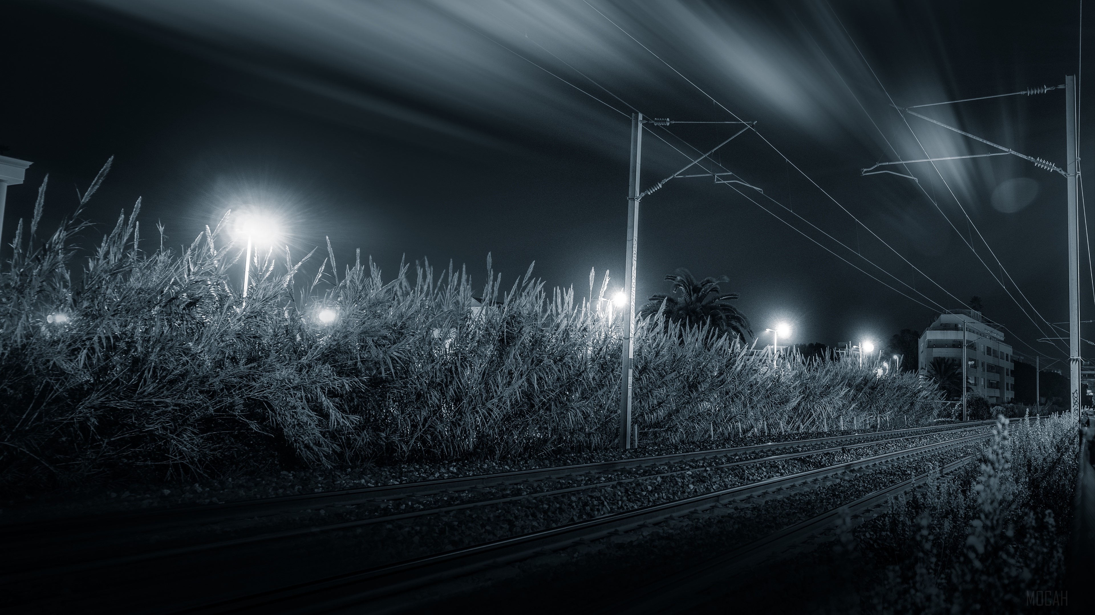 Night railway with grass and streetlights 4K HD Wallpaper