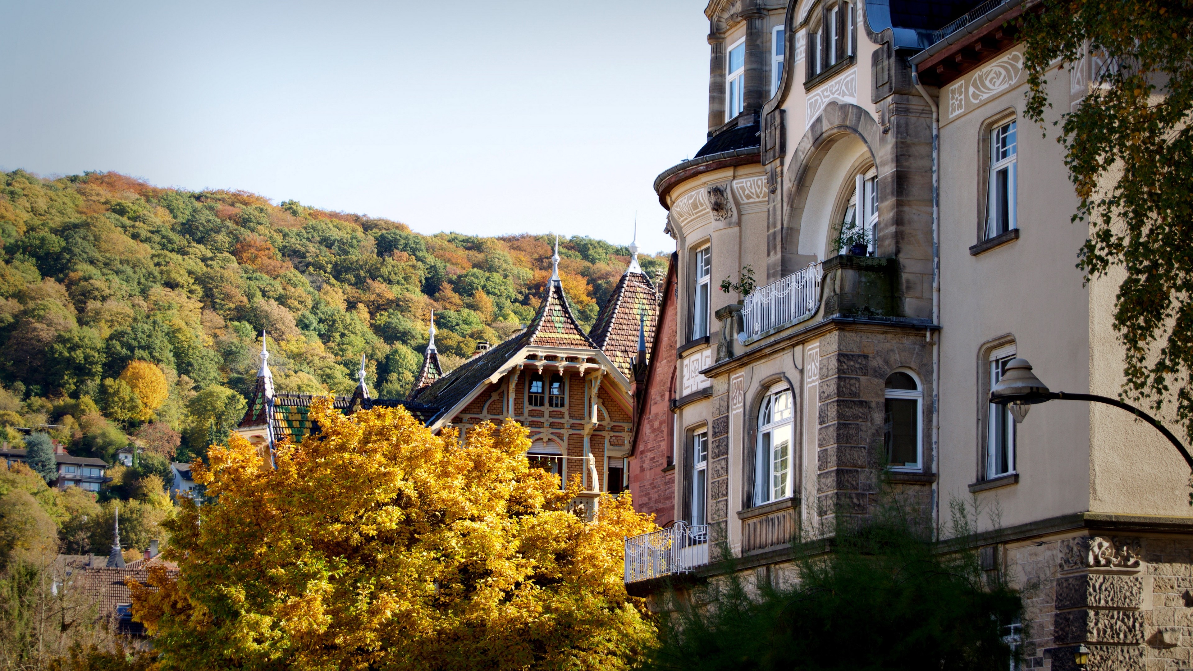 Autumn forest and buildings in Heidelberg, Germany 4K HD Wallpaper