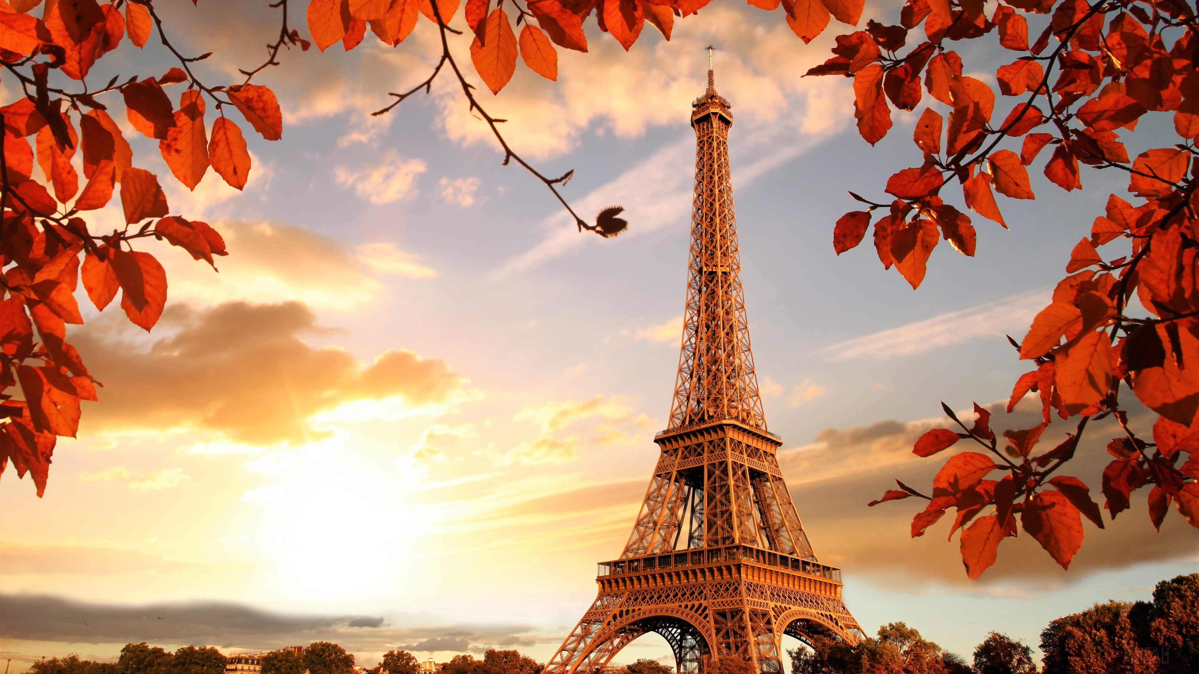 Eiffel Tower in Autumn with Orange Leaves 4K HD Wallpaper