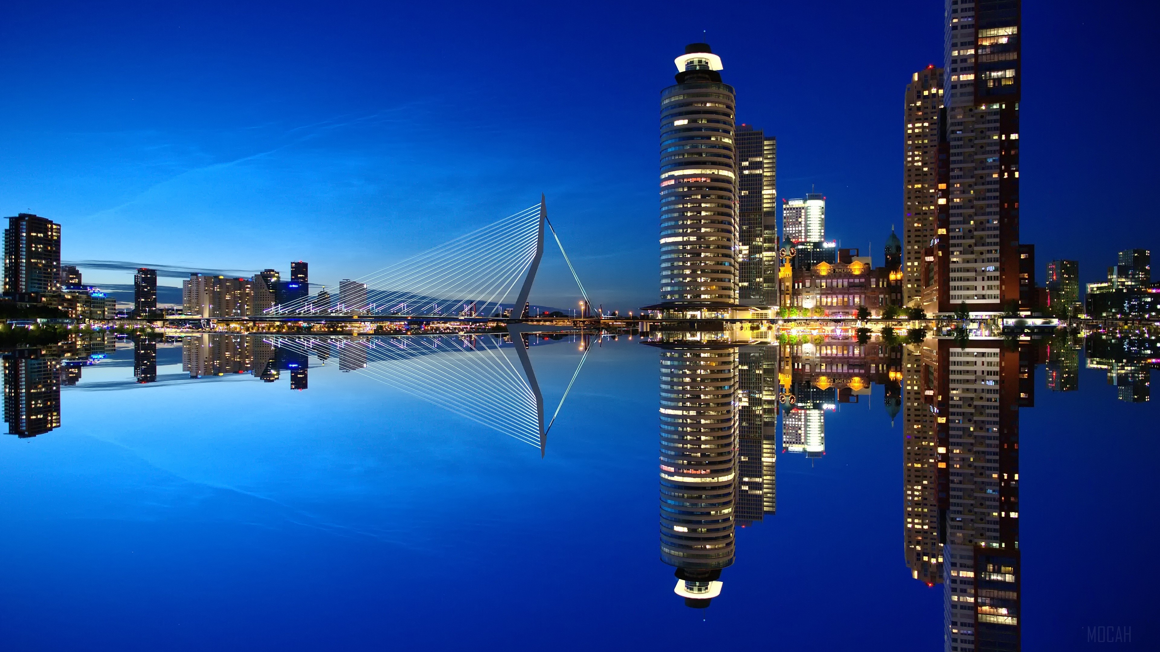 Rotterdam City Skyline and Erasmus Bridge at Night 4K HD Wallpaper