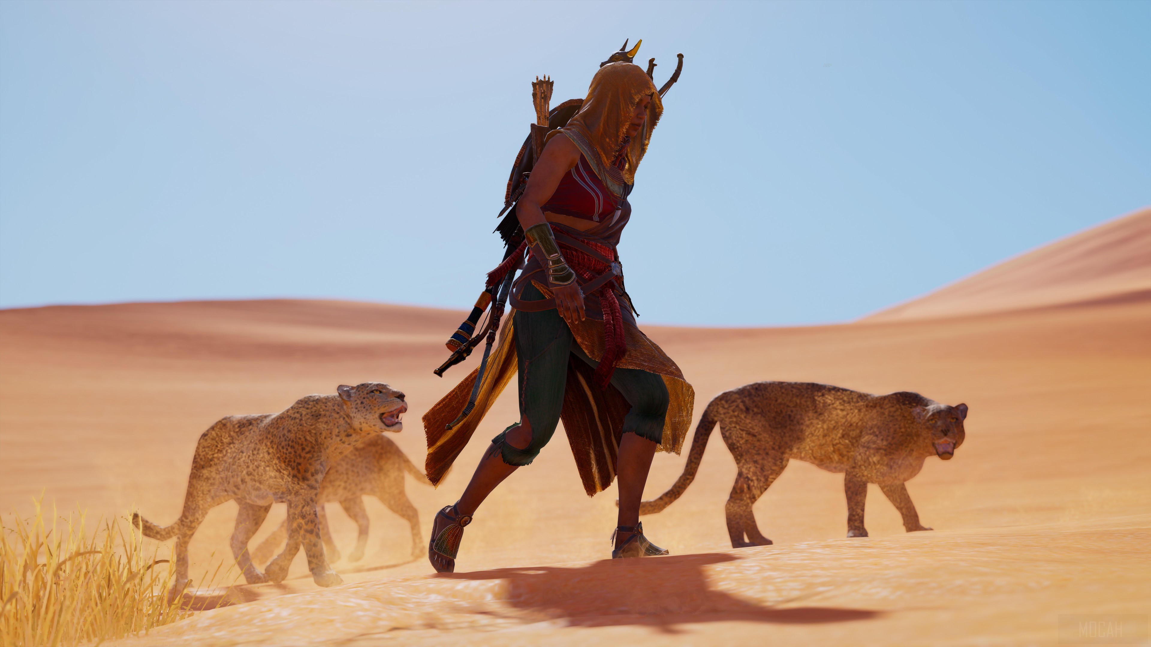 Bayek with Cheetahs in Assassin's Creed Origins 4K HD Wallpaper