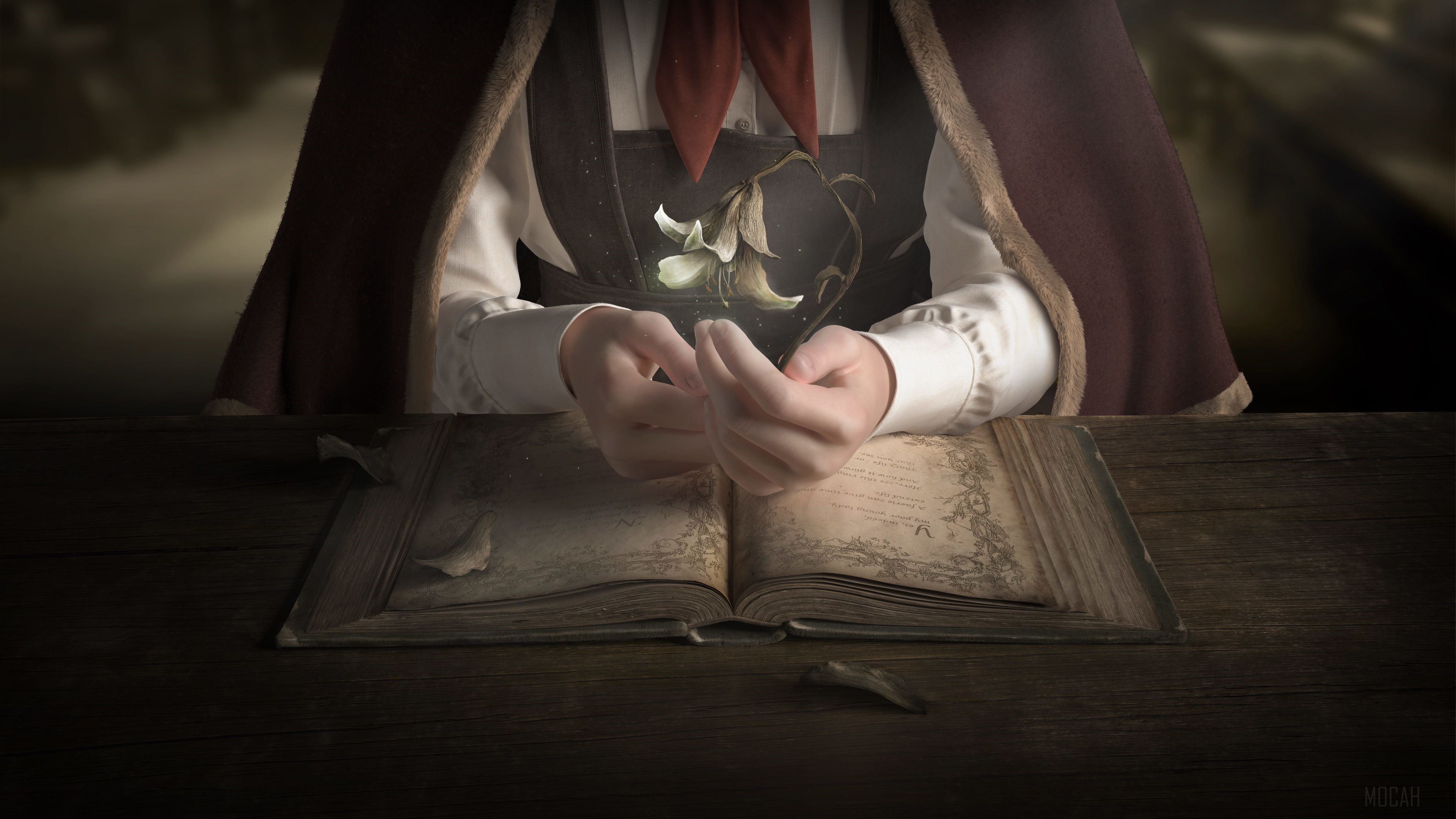 Deracine 4K Key Art HD Wallpaper