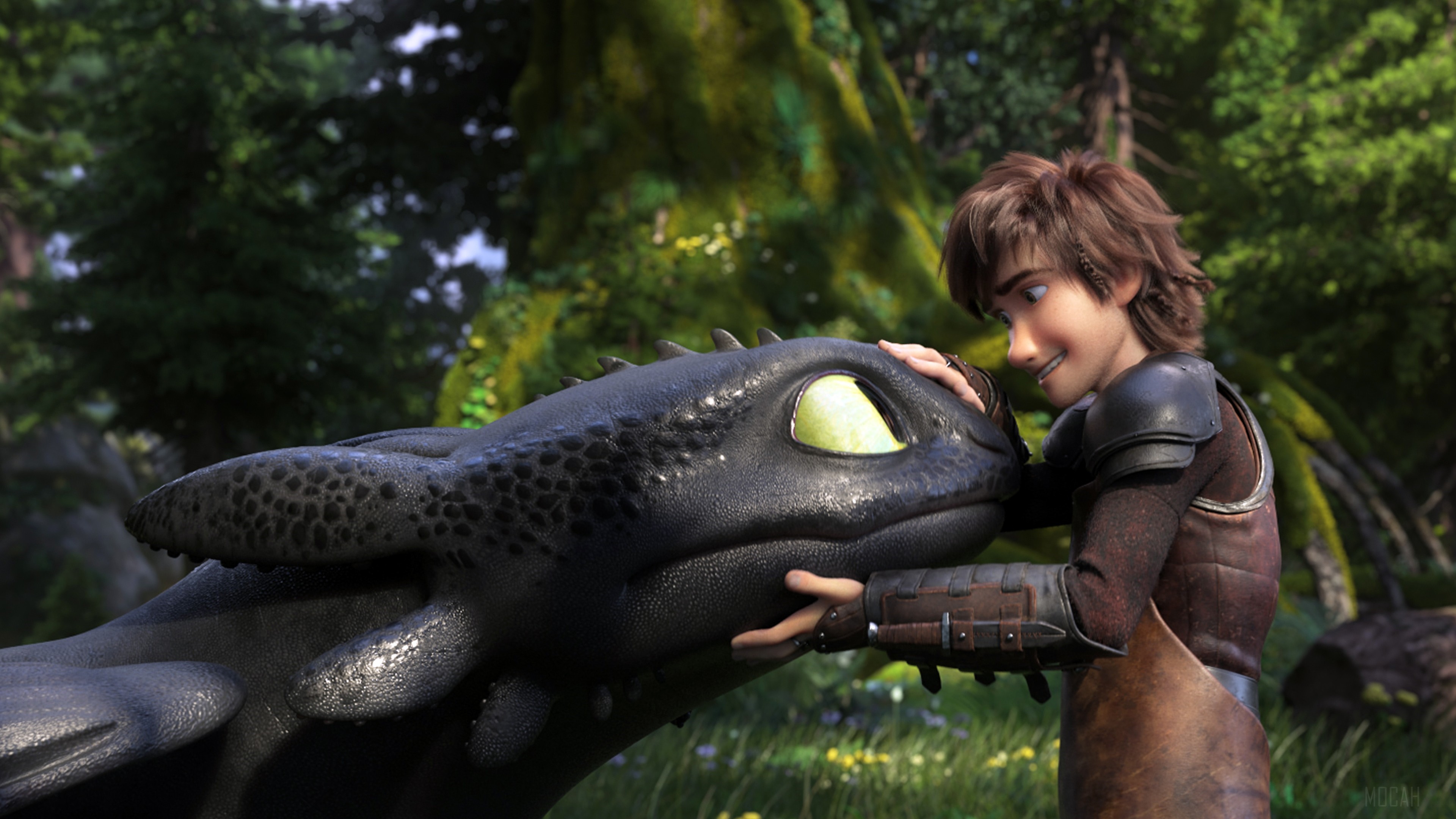 Hiccup and Toothless from How to Train Your Dragon 3 4K HD Wallpaper