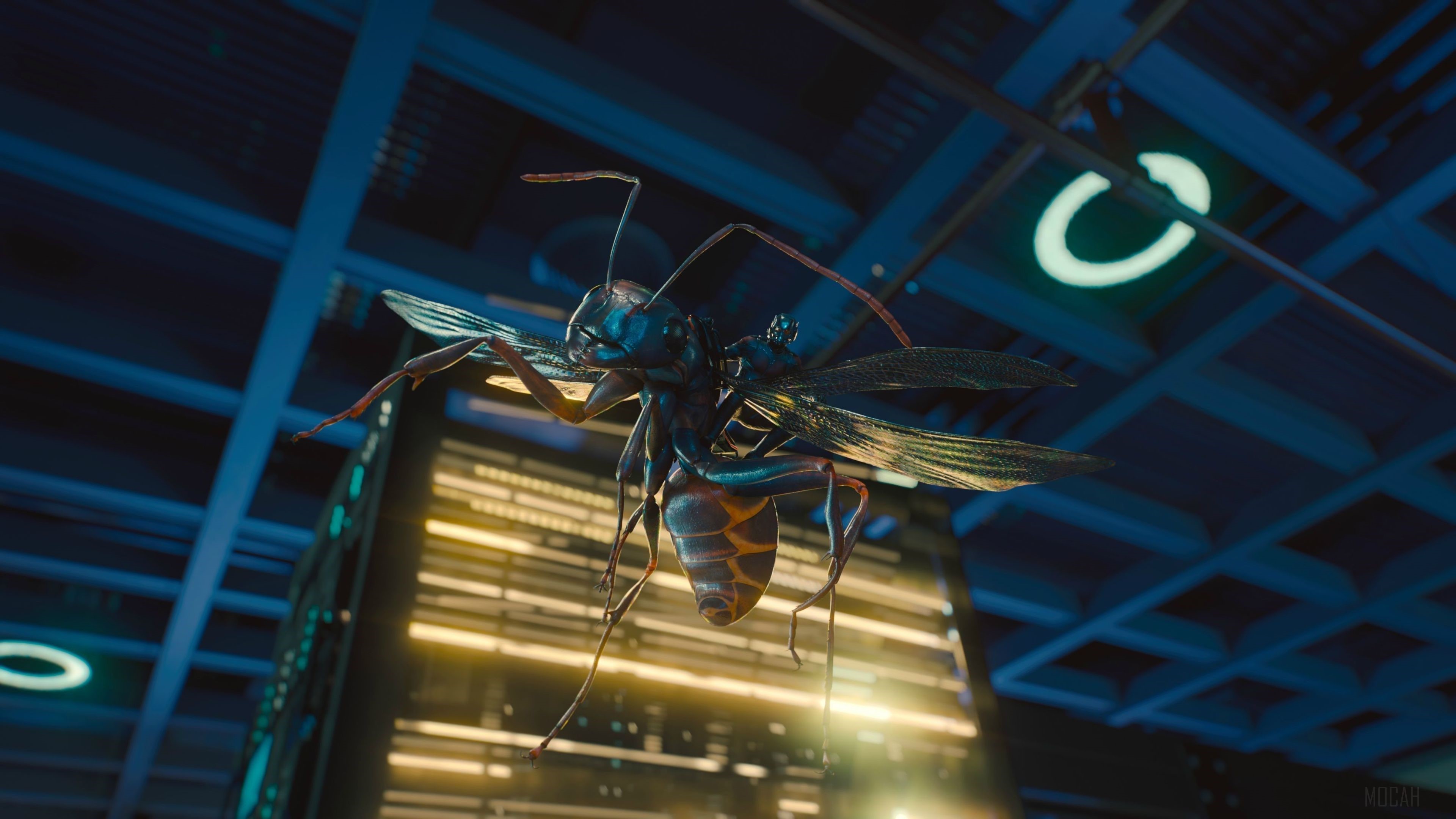Ant-Man and The Wasp Movie 4K HD Wallpaper