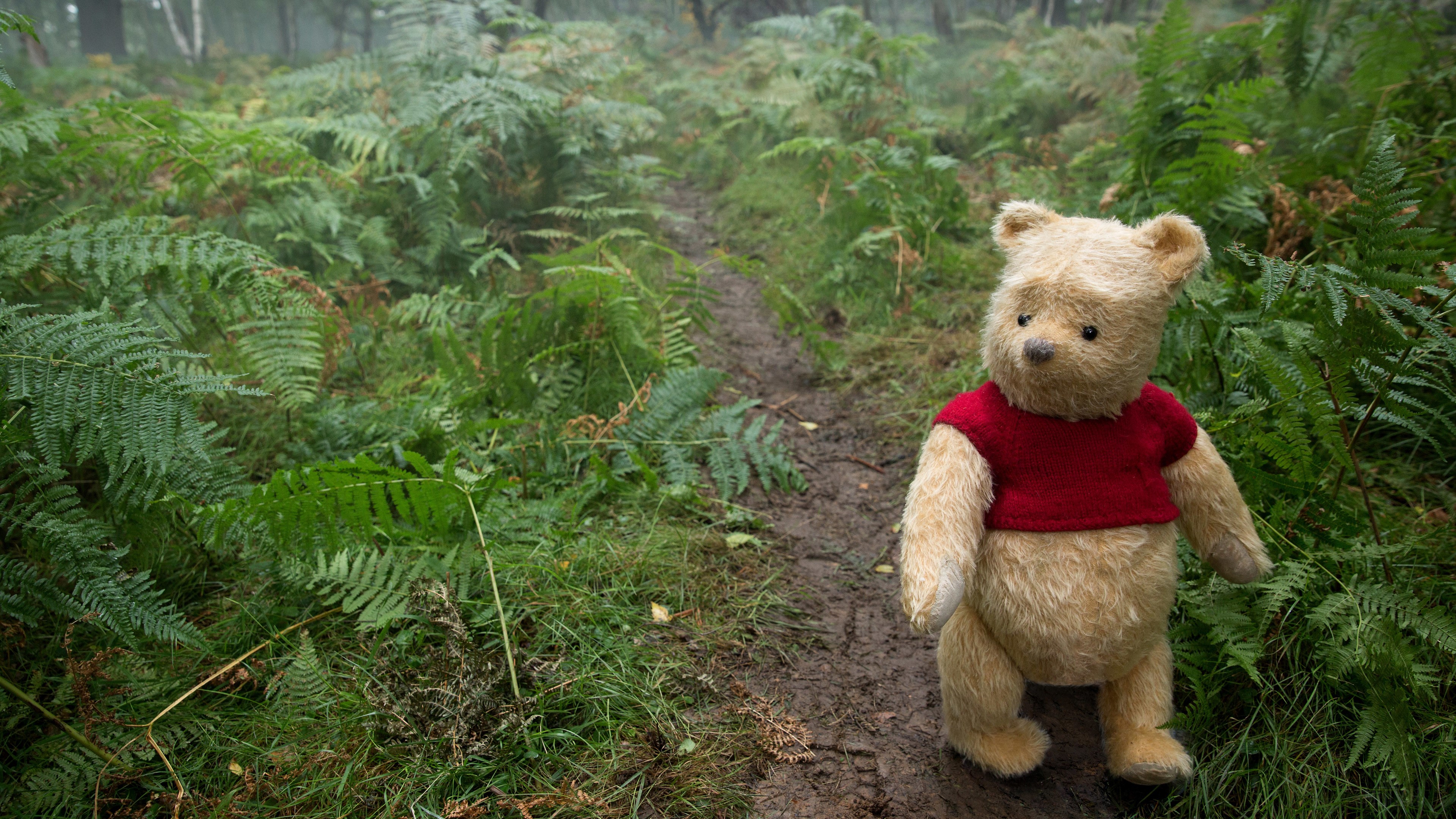 Winnie the Pooh from Christopher Robin 4K HD Wallpaper