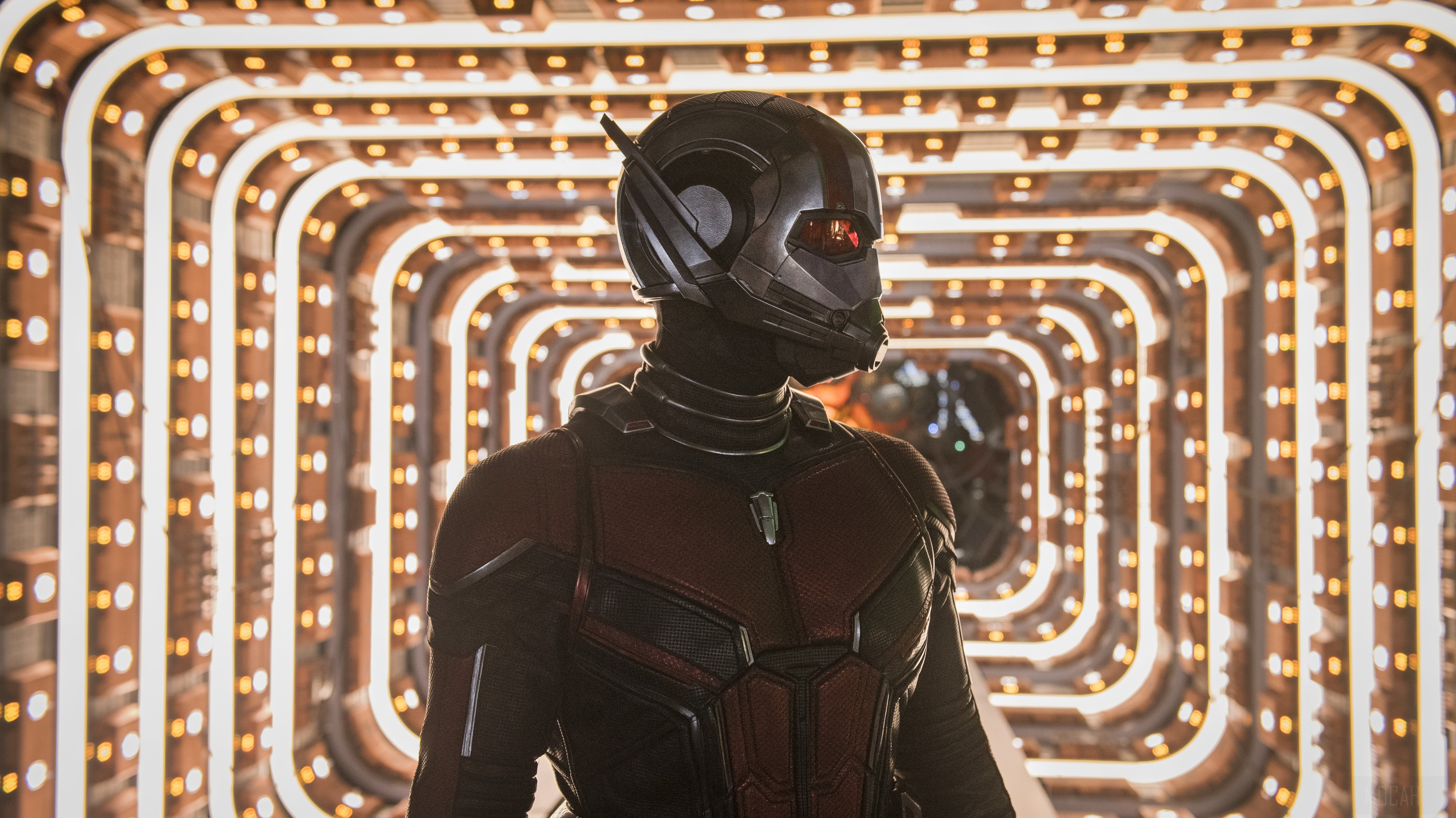 Ant-Man from Ant-Man and the Wasp 4K HD Wallpaper