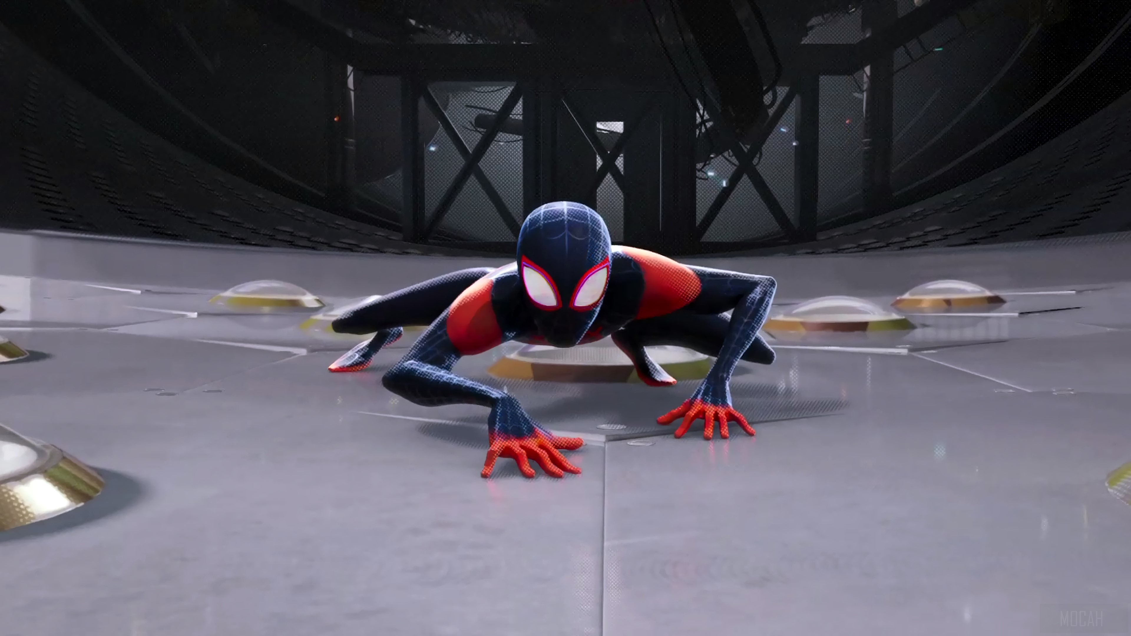 Spider-Man from Into the Spider-Verse 4K HD Wallpaper
