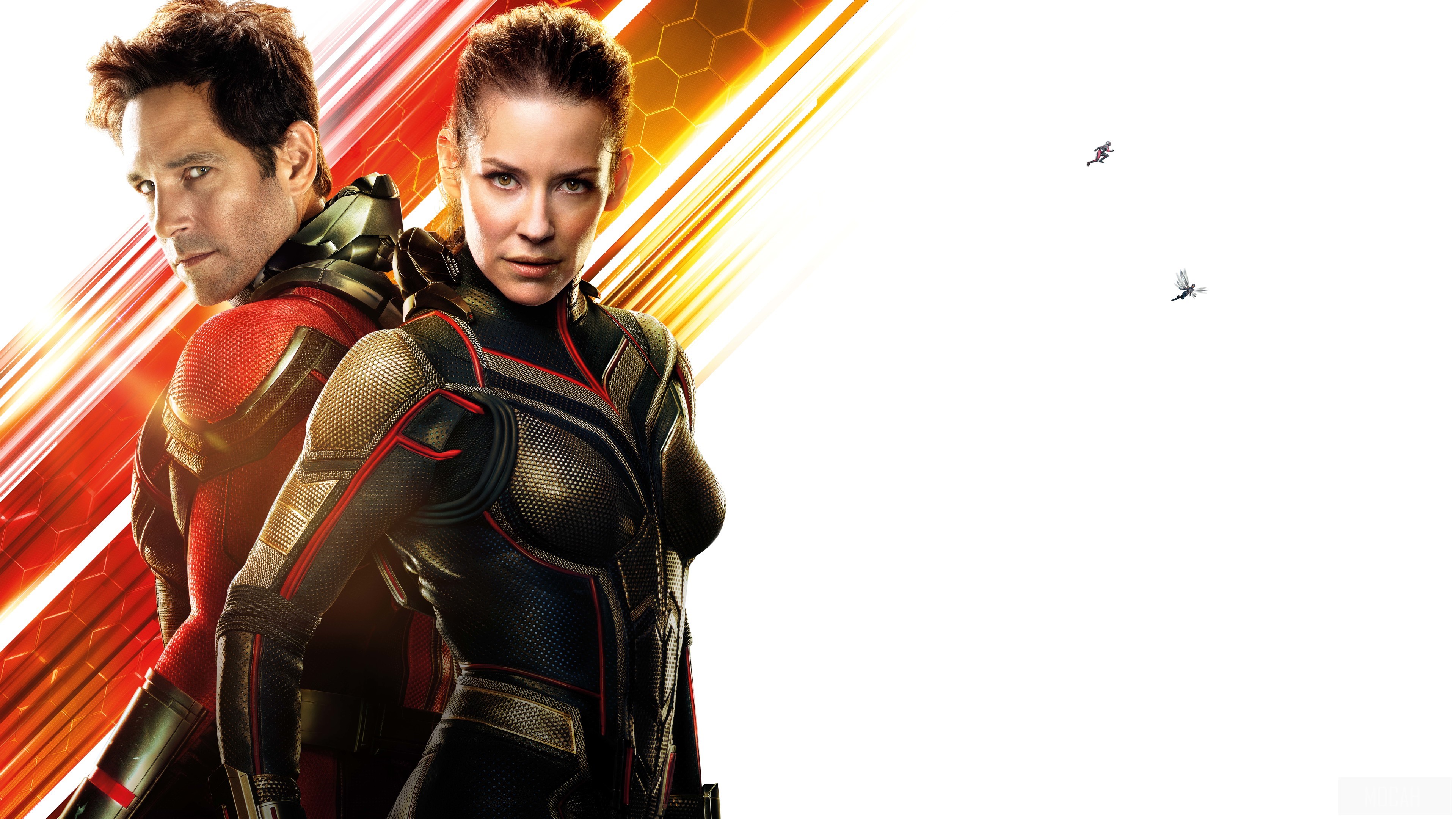Ant-Man and The Wasp 4K HD Wallpaper