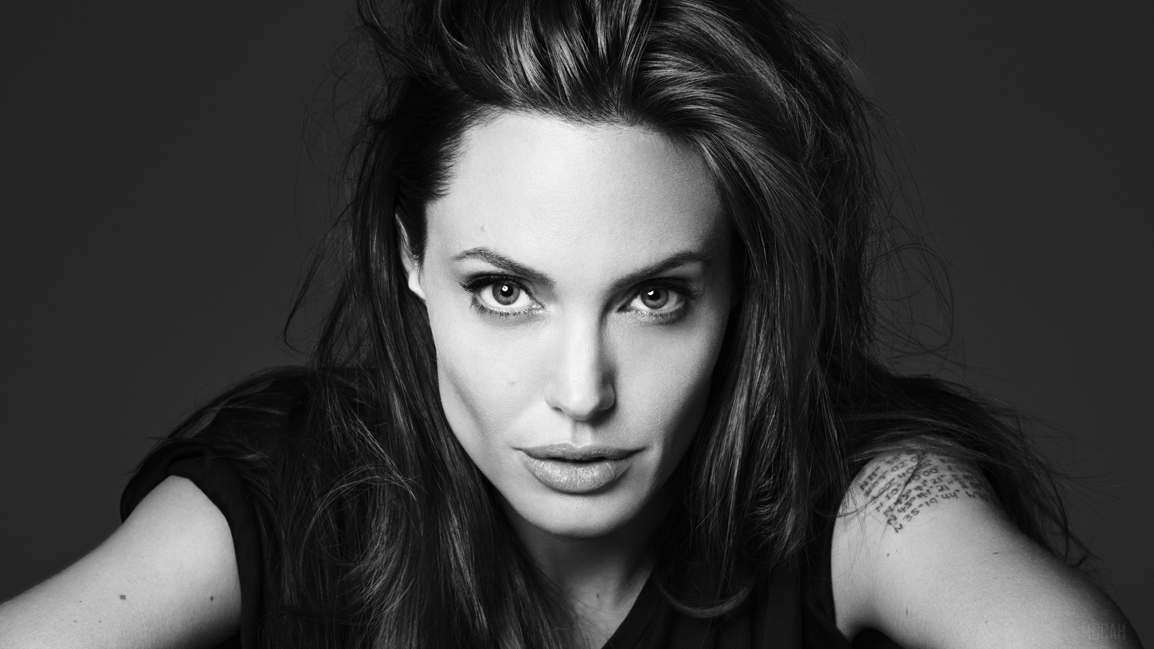 Angelina Jolie HD Wallpaper