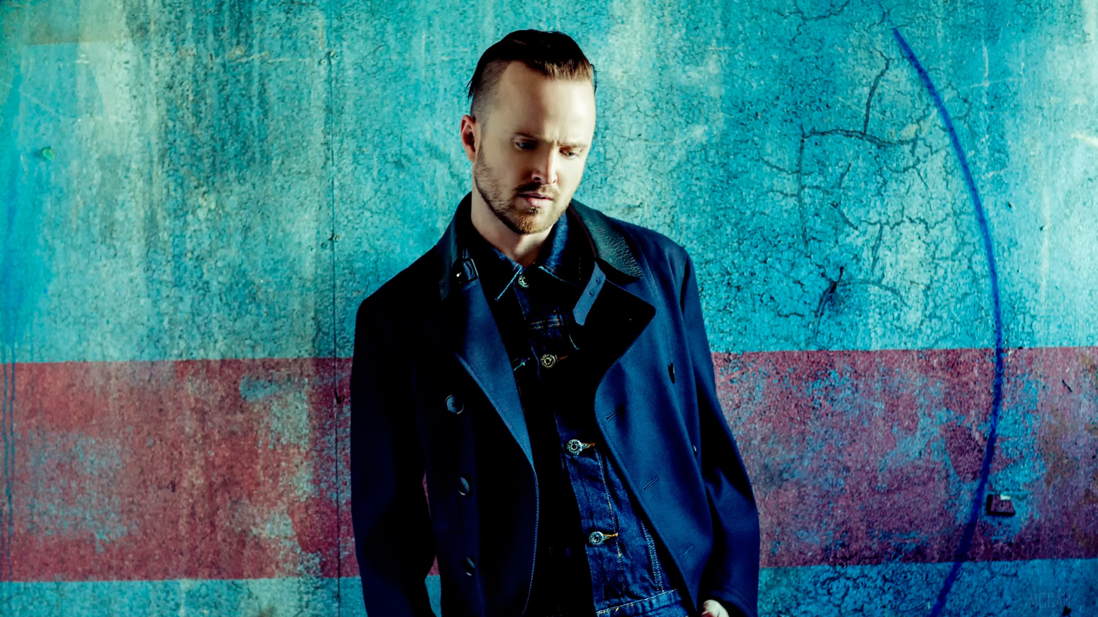 Aaron Paul HD Wallpaper