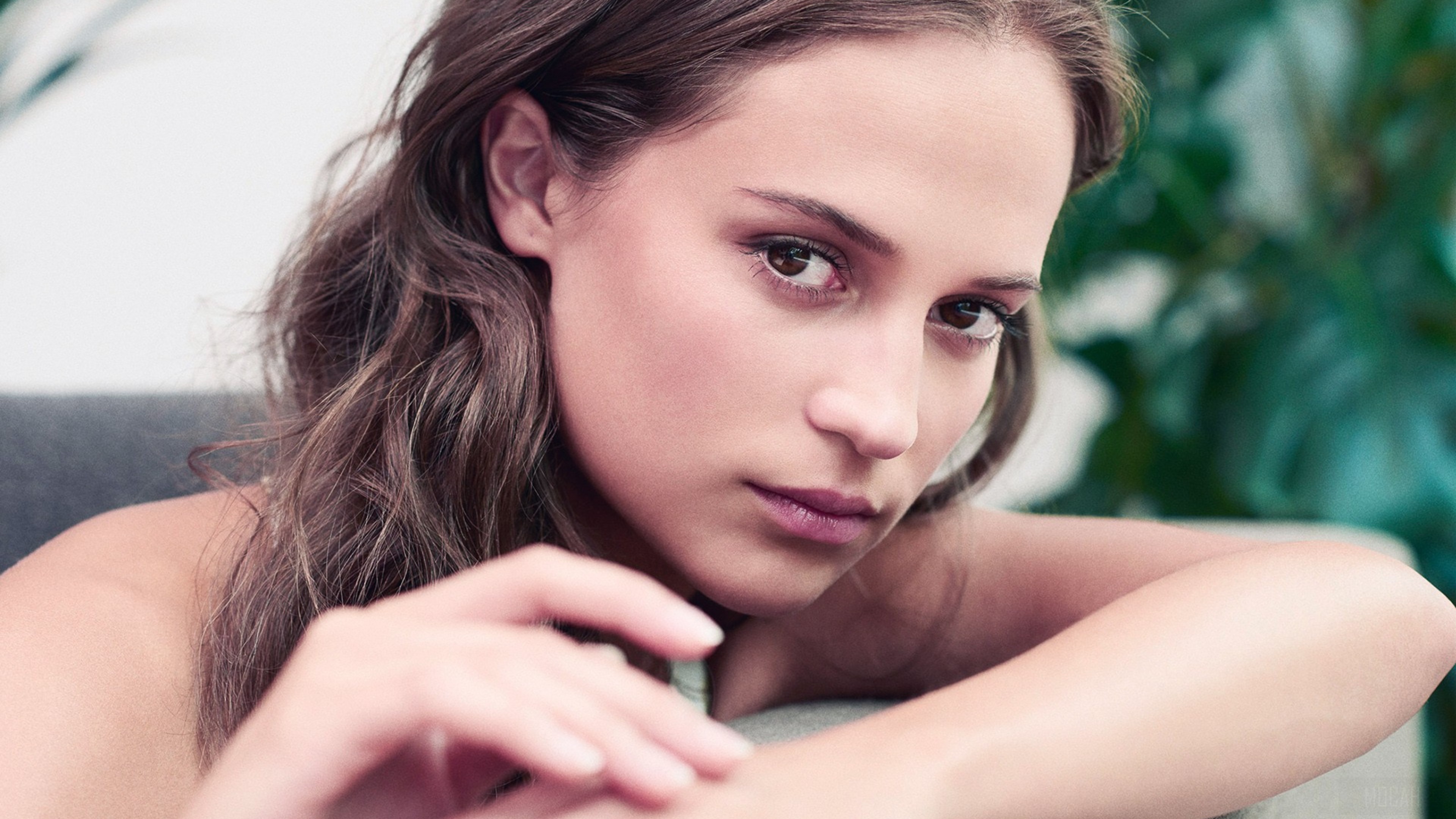 Alicia Vikander 4K HD Wallpaper