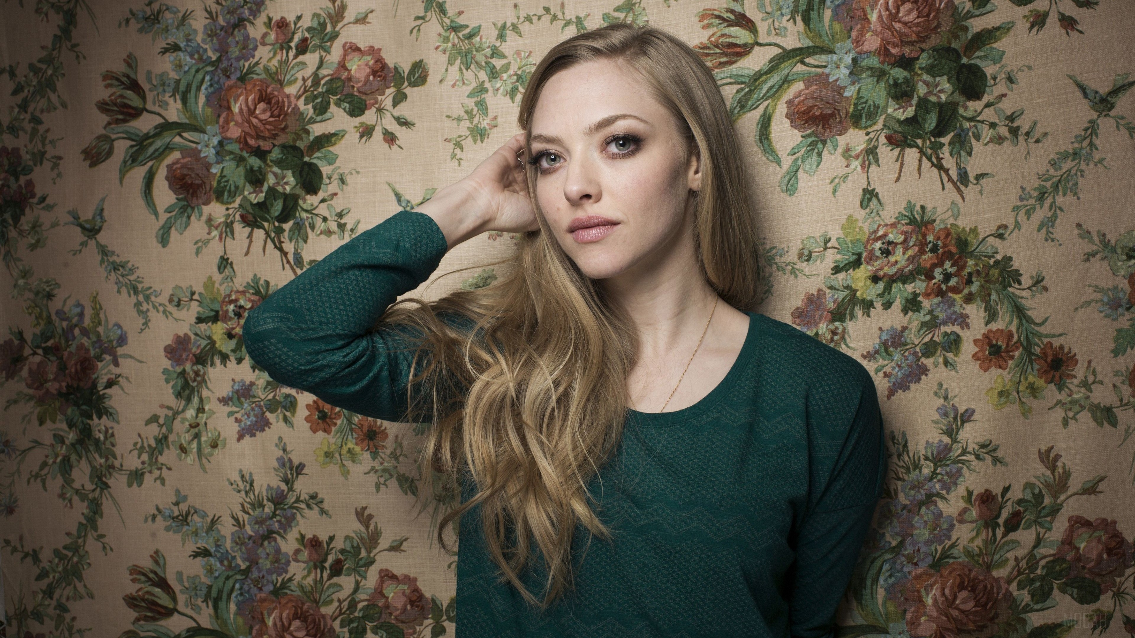 Amanda Seyfried HD Wallpaper