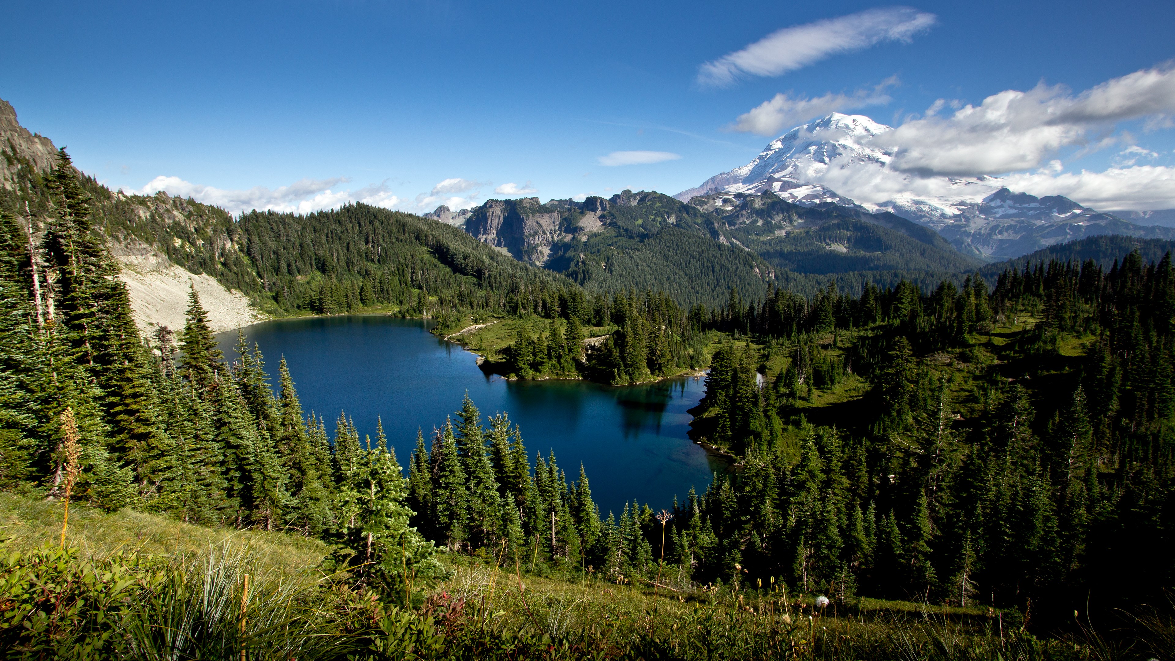 Lake and Mountain Landscape with Evergreen Trees HD Wallpaper