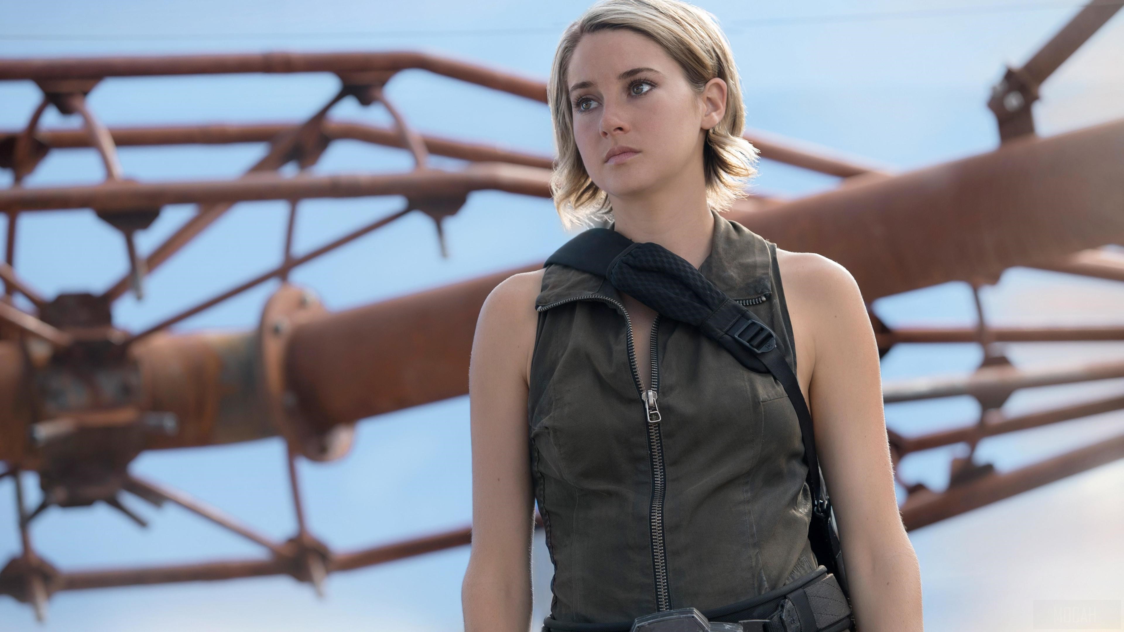 Shailene Woodley In Allegiant HD Wallpaper