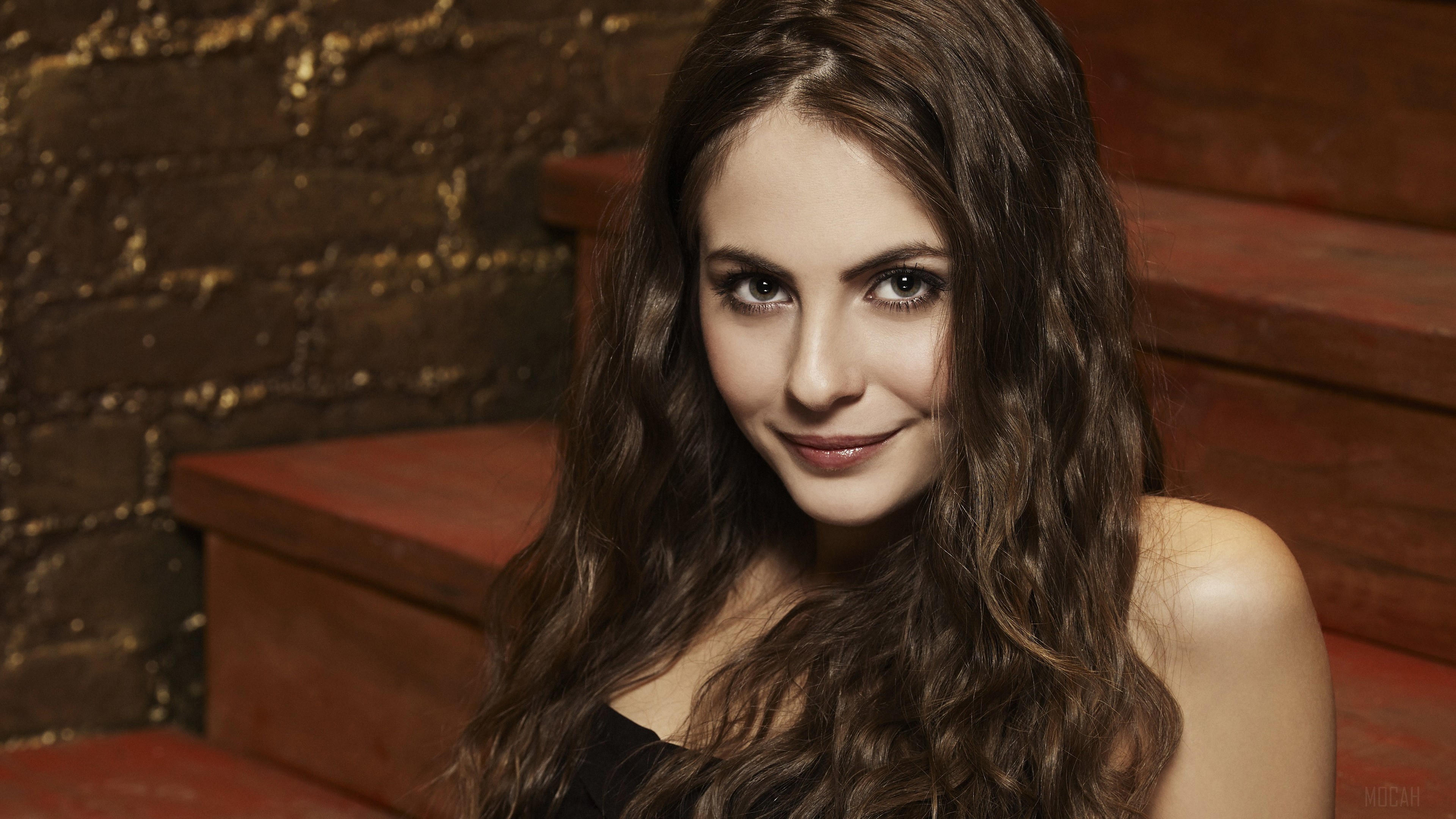 Willa Holland 4K HD Wallpaper