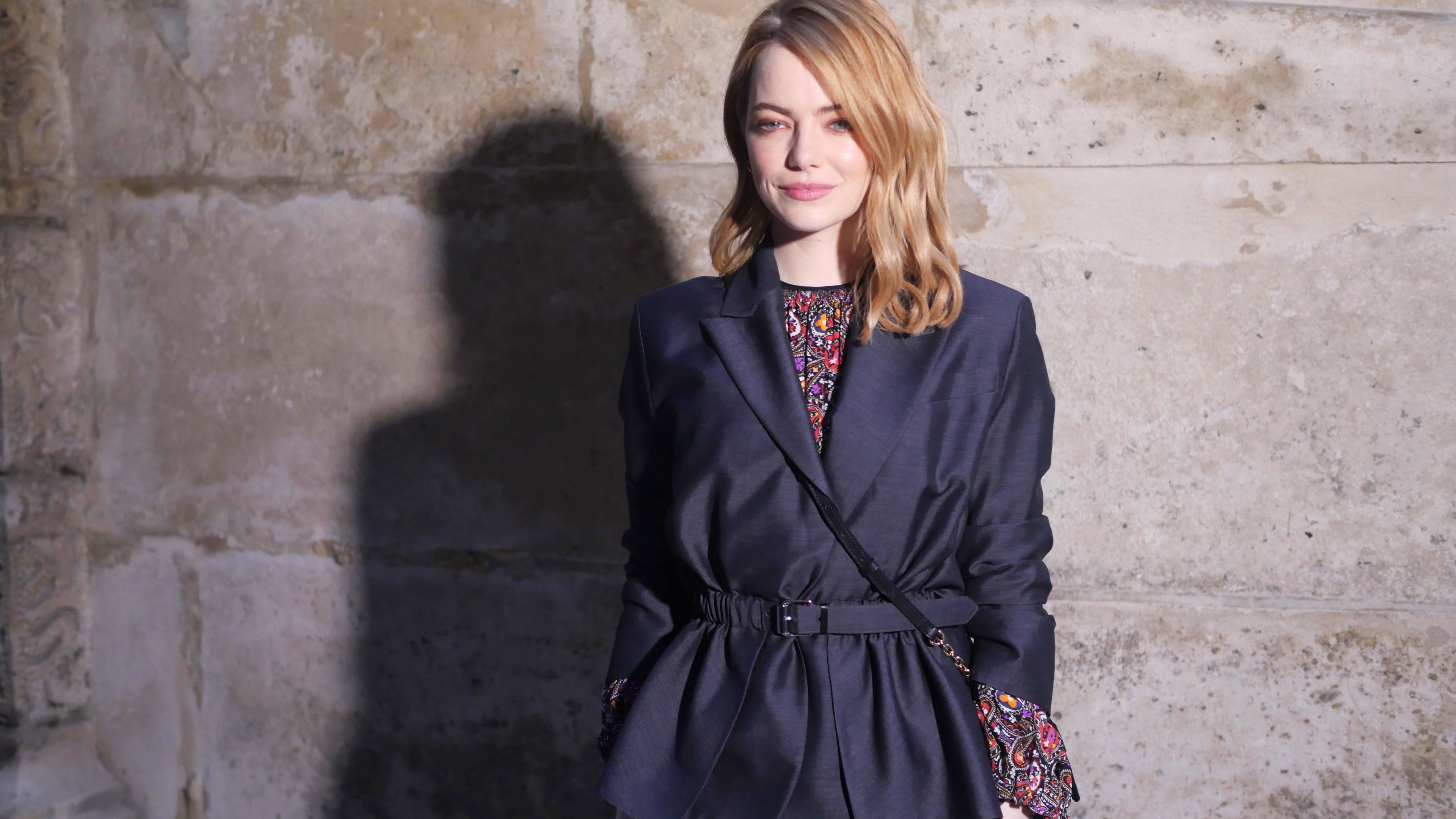 Emma Stone 2019 HD Wallpaper