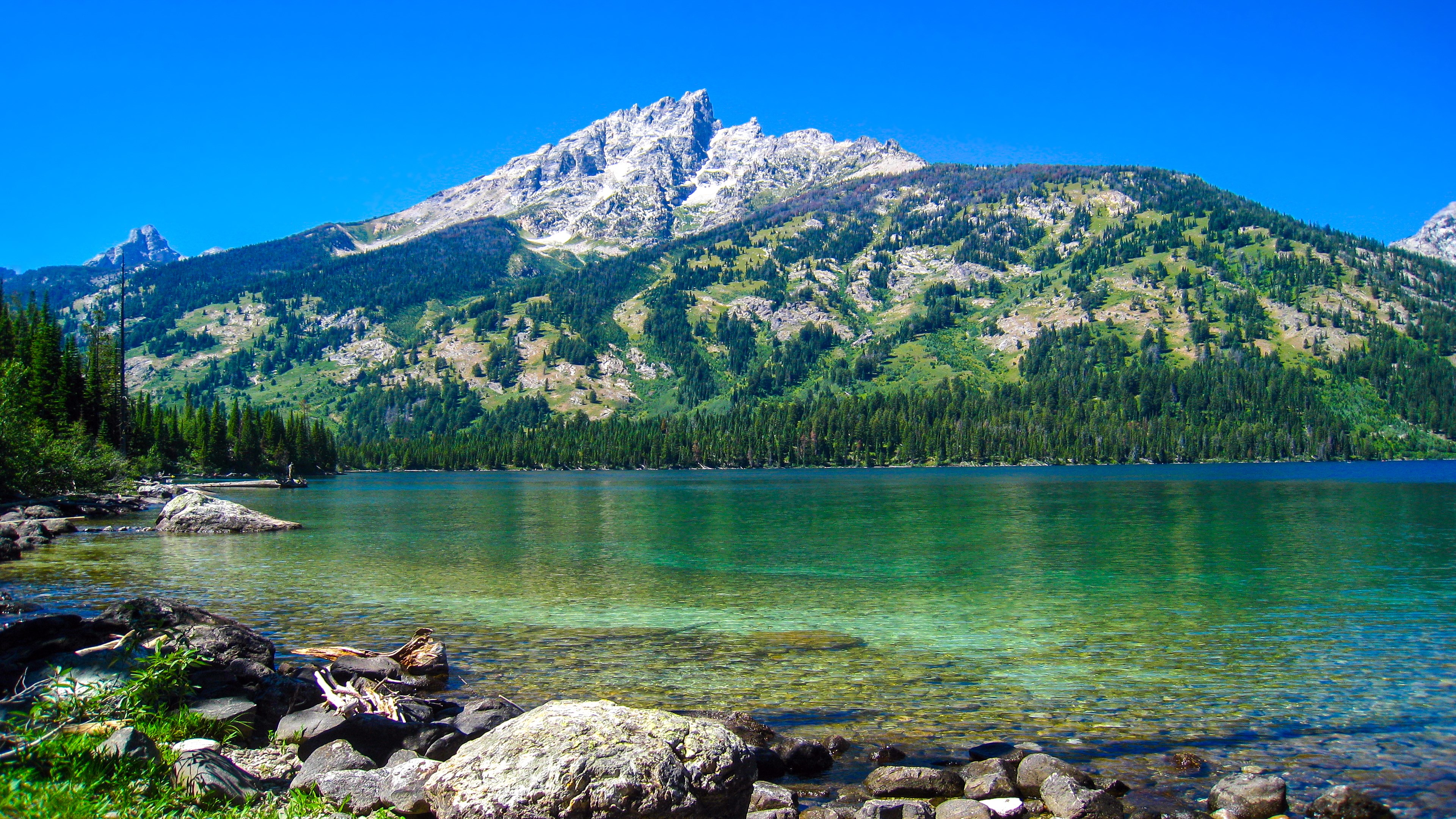 Clear lake in front of a forested mountain under a blue sky HD Wallpaper