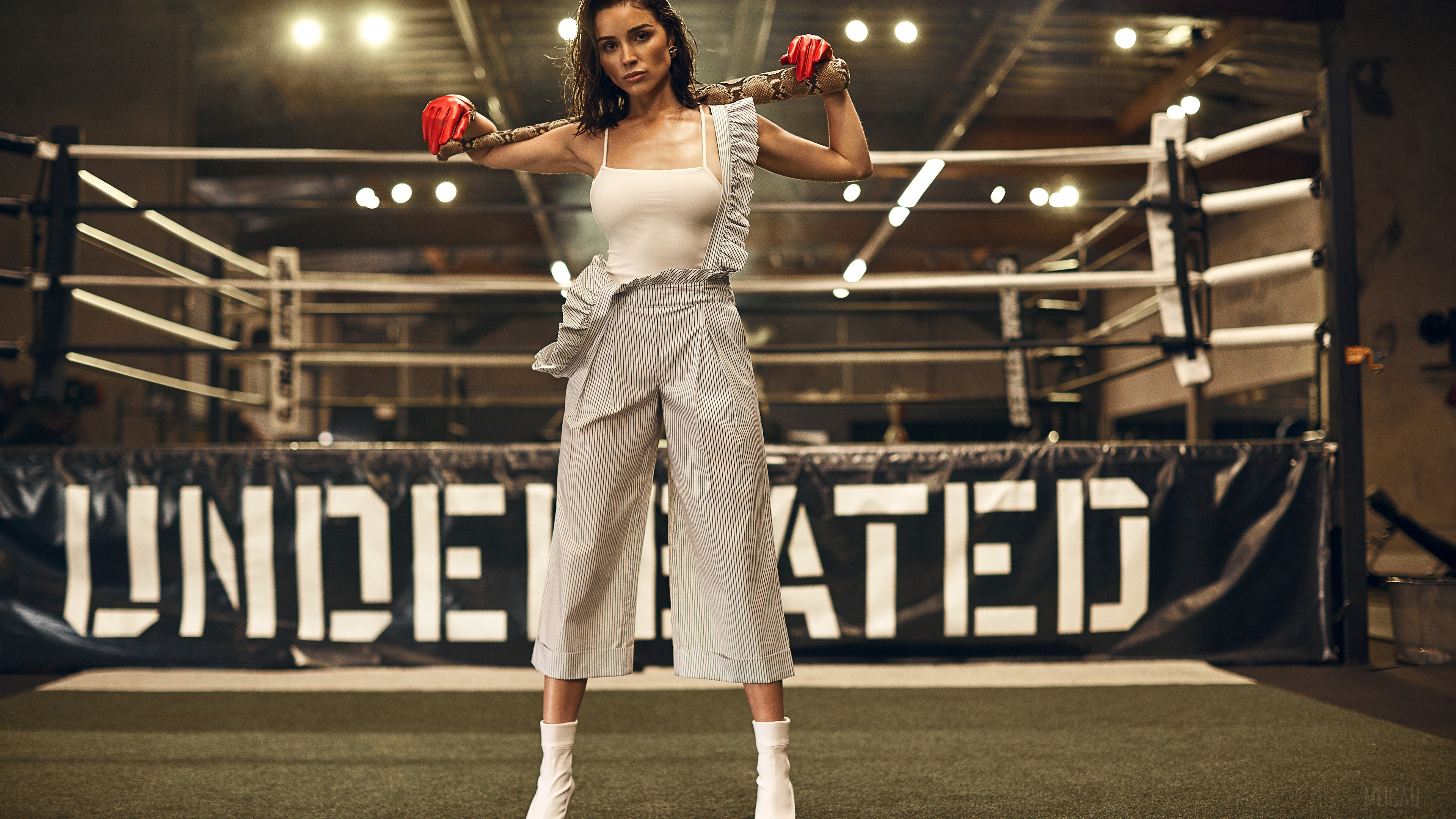 Olivia Culpo in boxing ring 4K HD Wallpaper