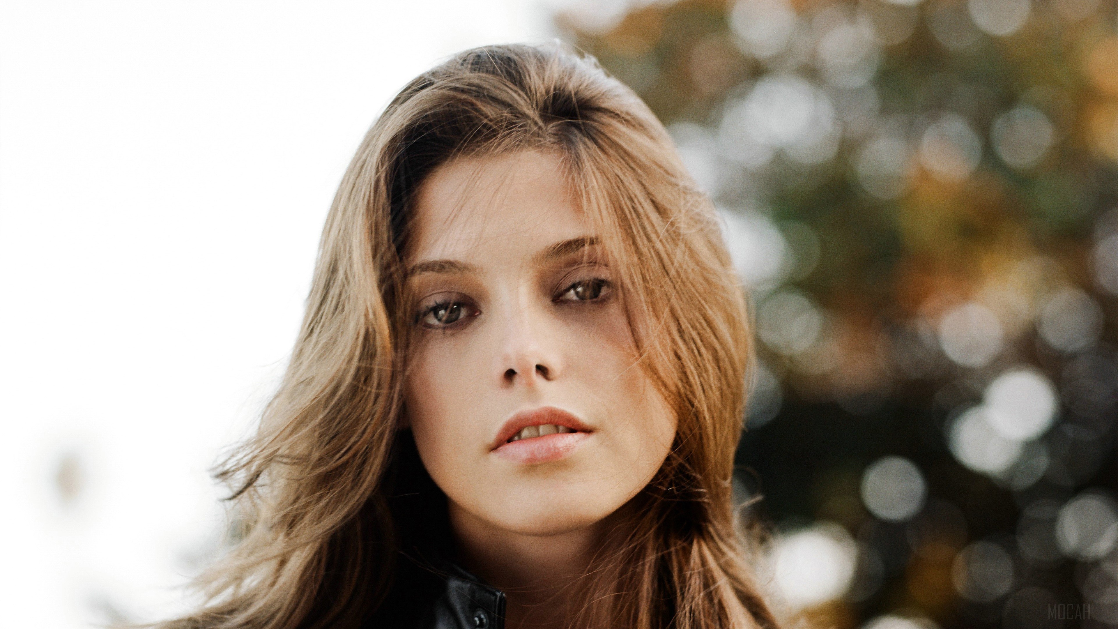 Ashley Greene Cute Look HD Wallpaper