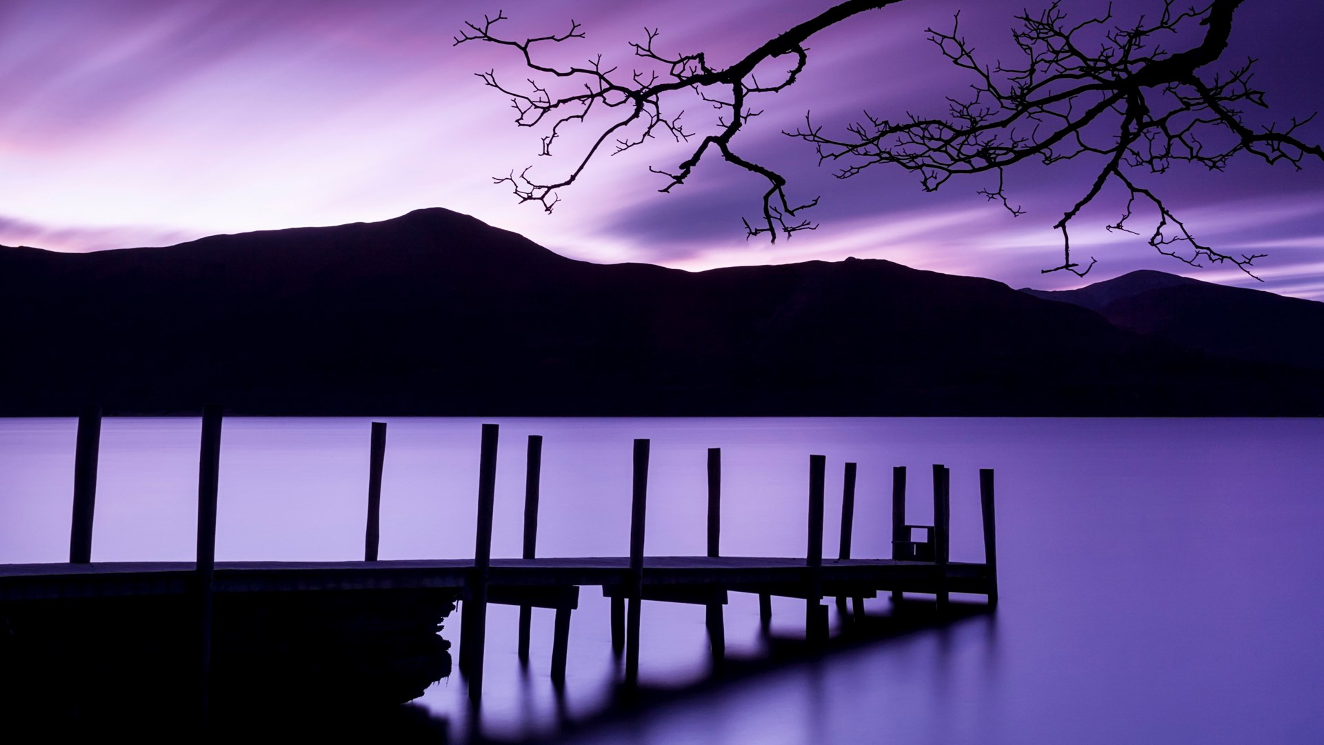 Purple sunset over a lake with a wooden pier and silhouetted trees HD Wallpaper
