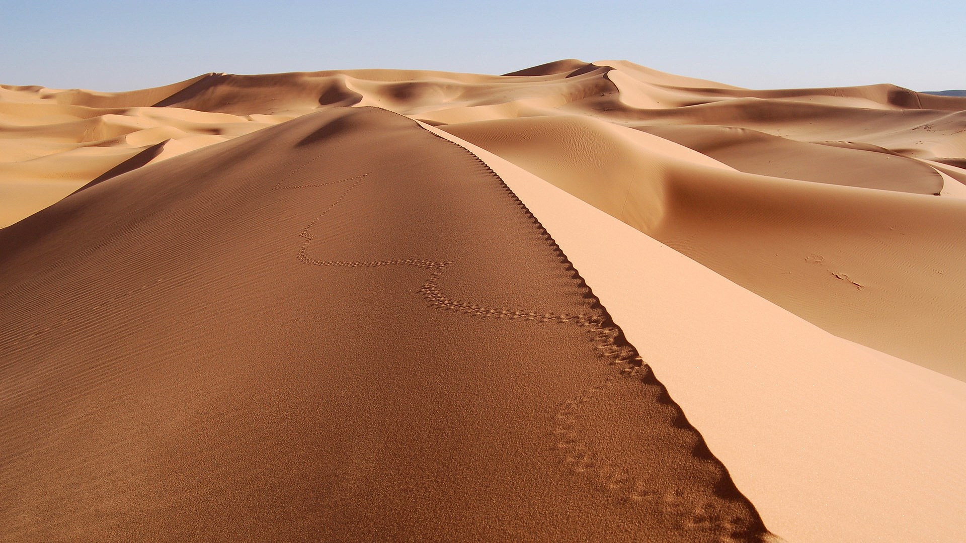 Desert sand dunes with footprints HD Wallpaper