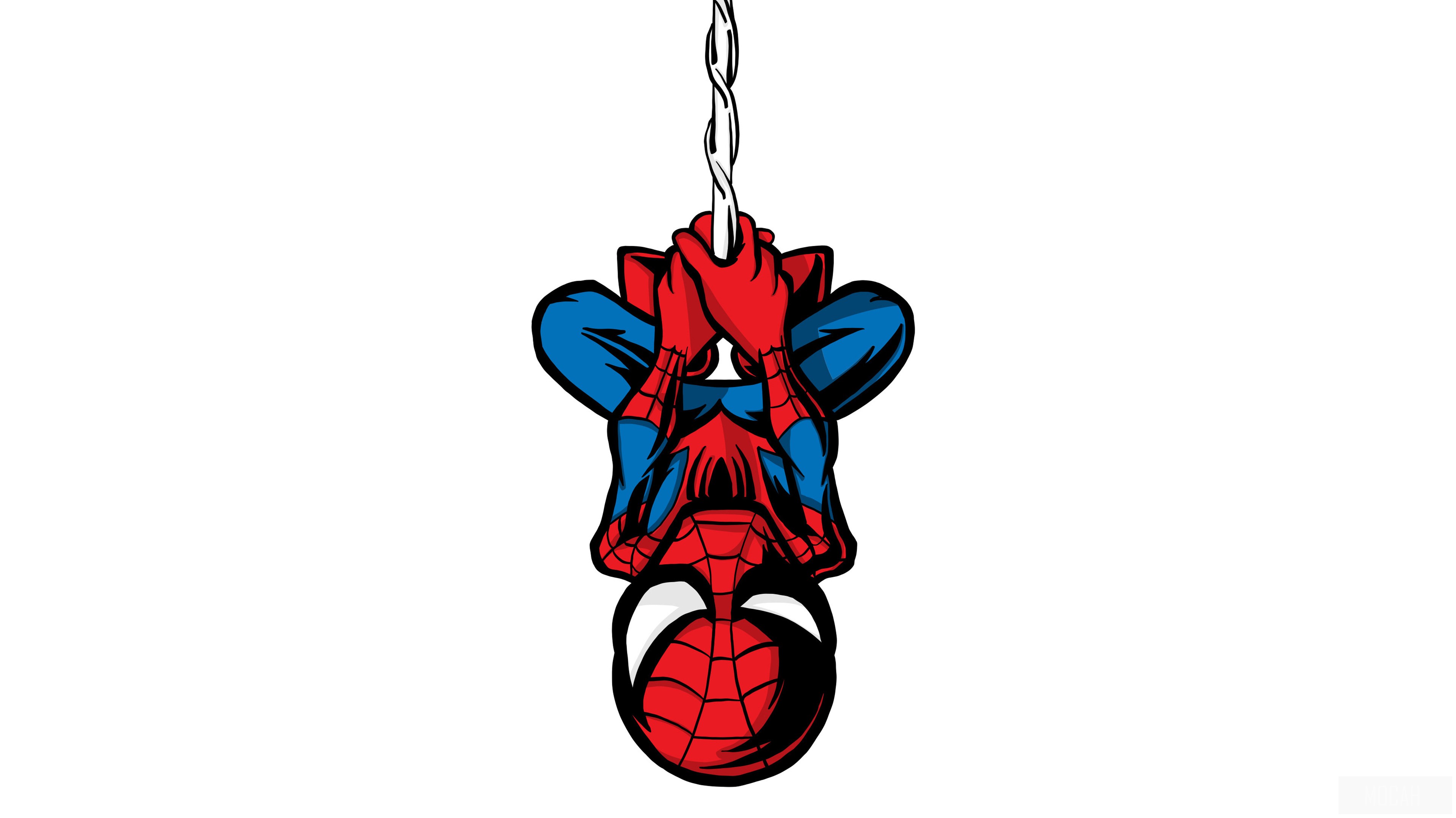 Spiderman hanging from a web HD Wallpaper