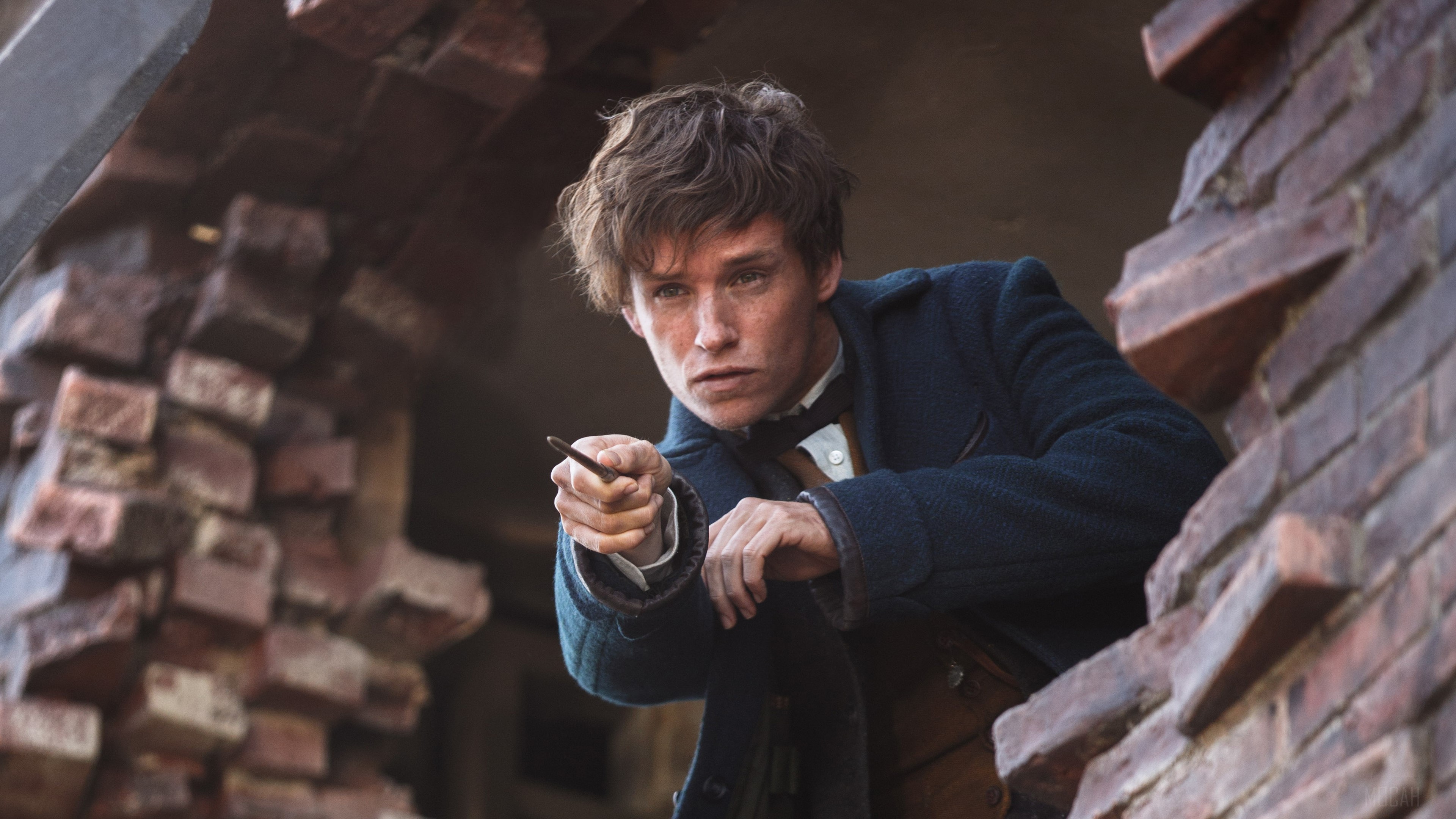 Eddie Redmayne In Fantastic Beasts 2016 HD Wallpaper