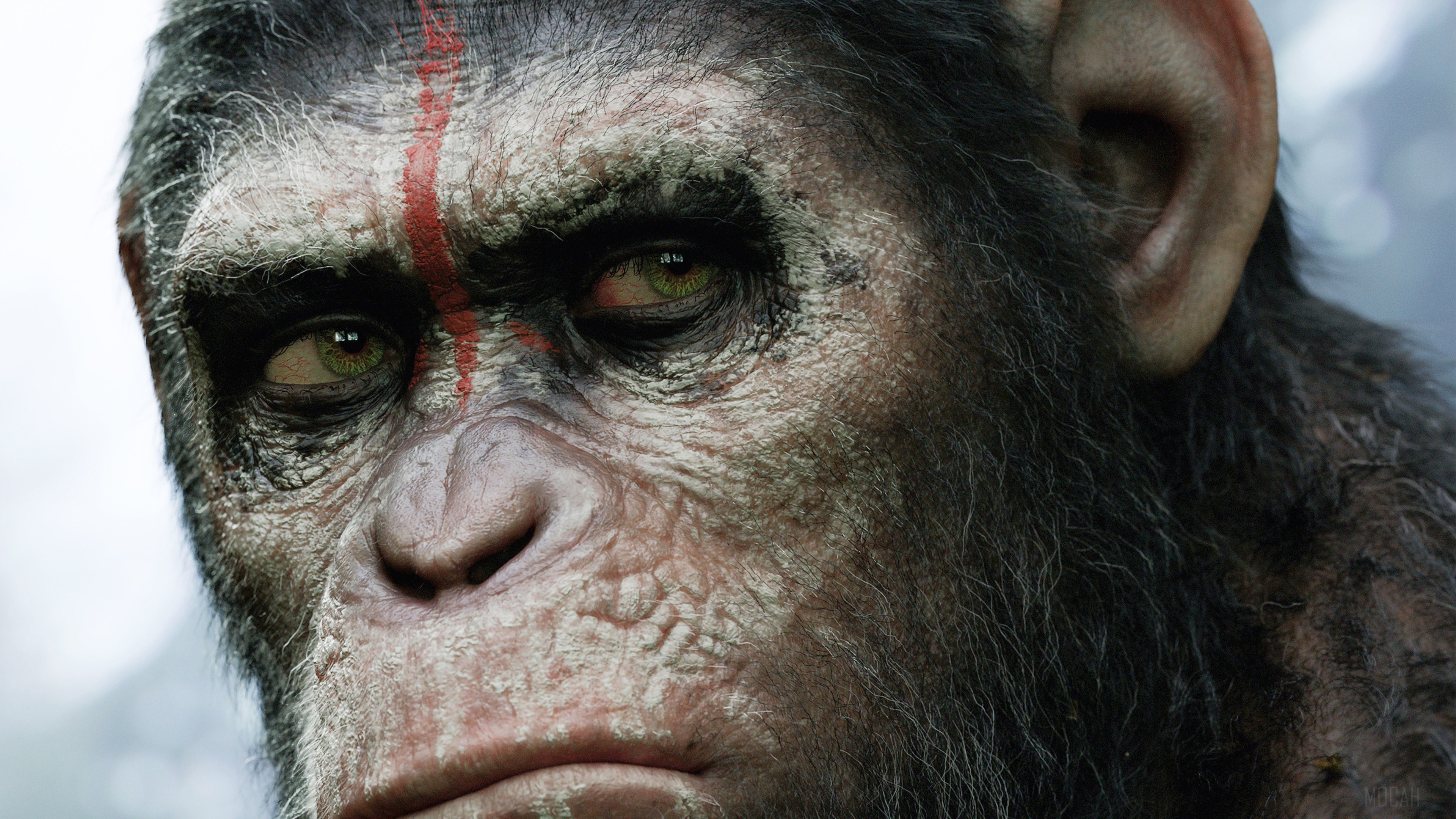 Caesar from Dawn of the Planet of the Apes 4K HD Wallpaper