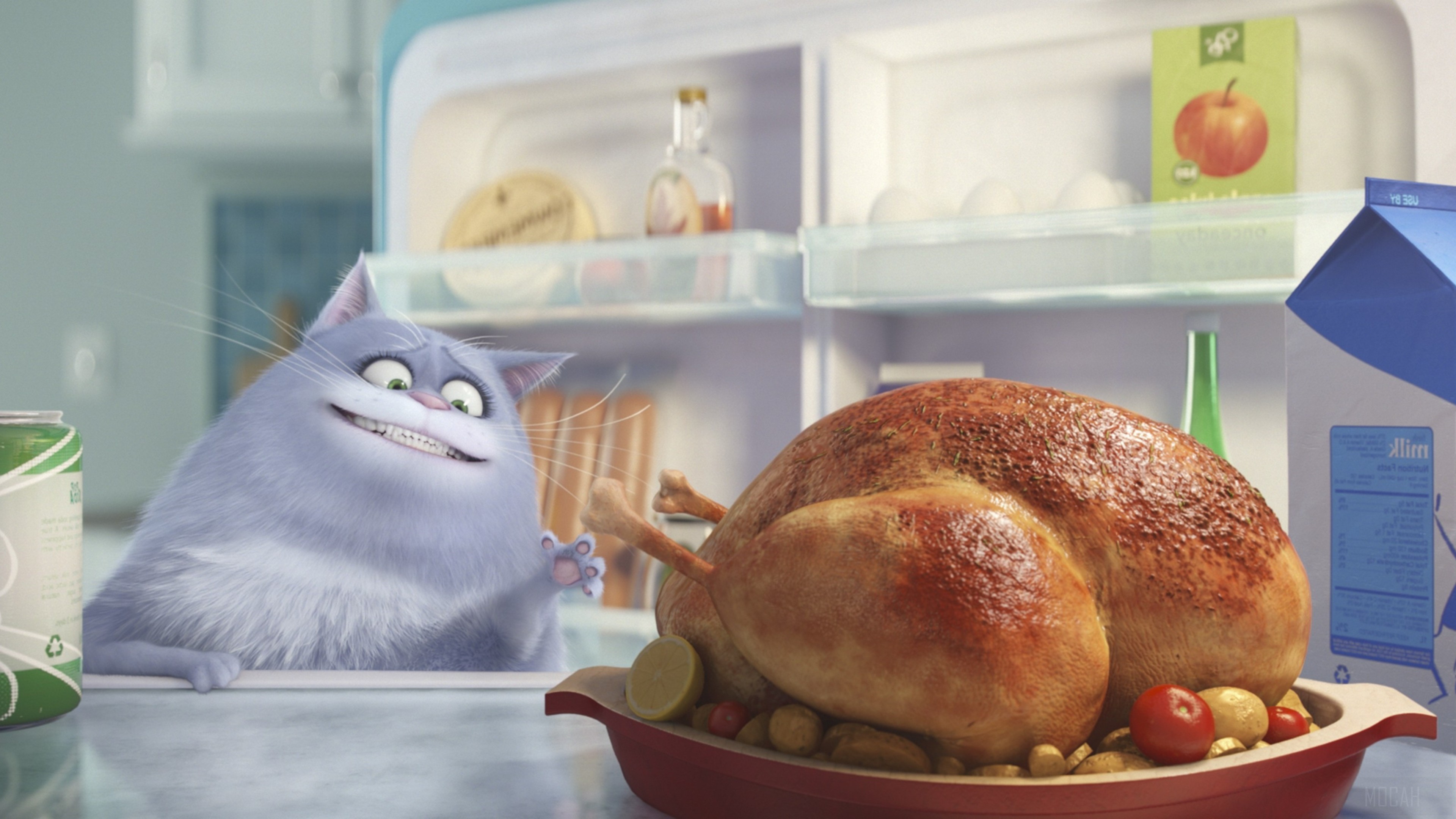Chloe from The Secret Life of Pets 4K HD Wallpaper