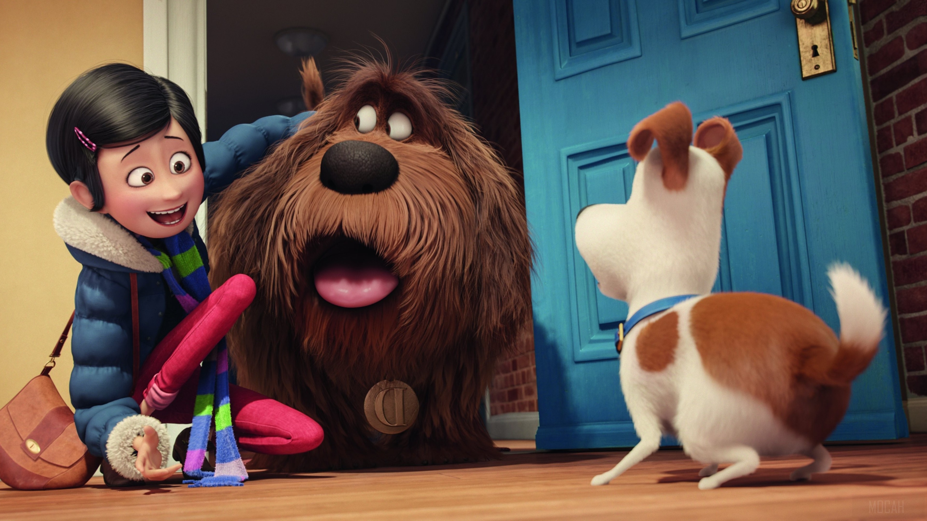 Duke and Max from The Secret Life of Pets HD Wallpaper
