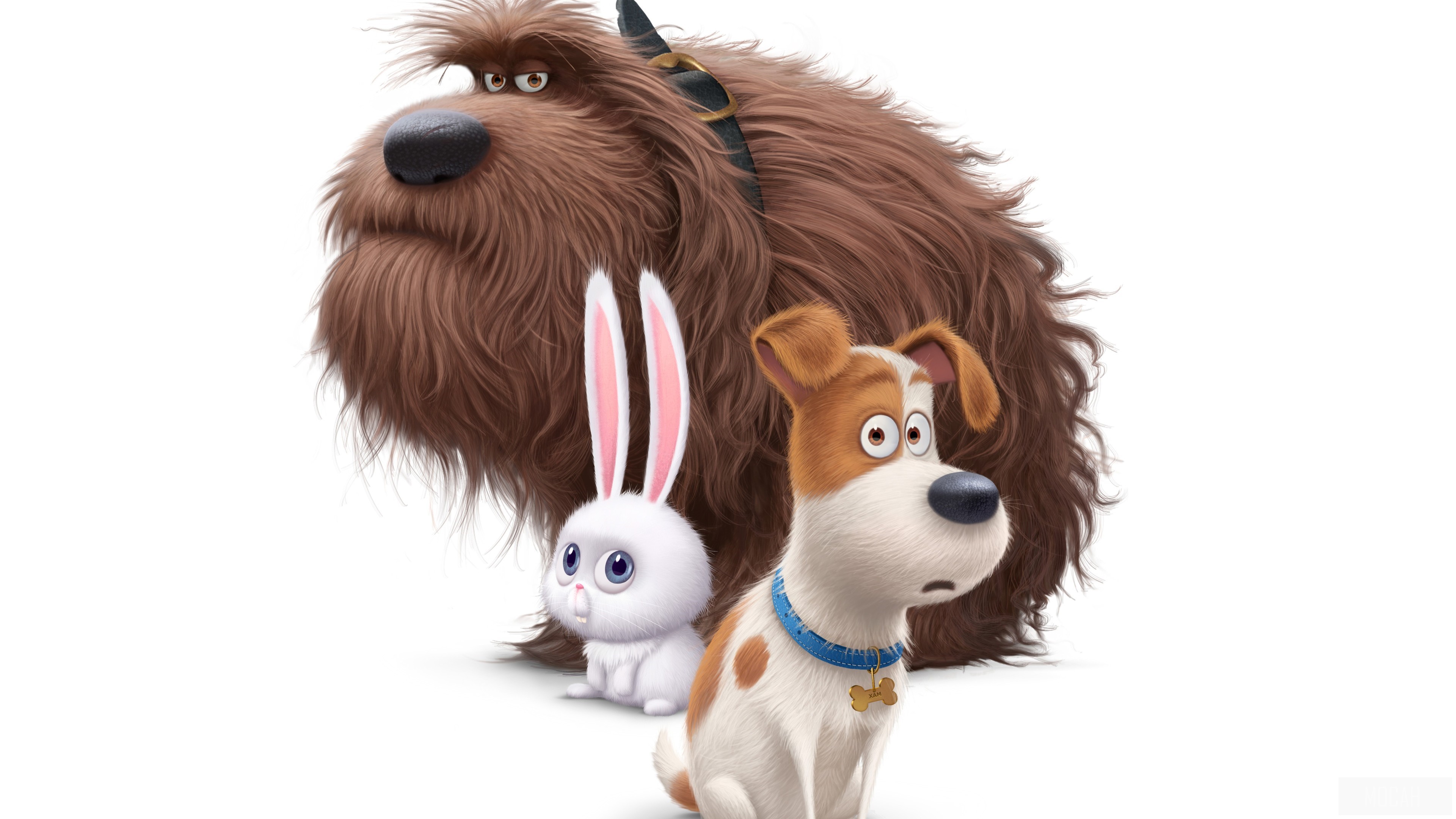 Max, Duke, and Snowball from The Secret Life of Pets 4K HD Wallpaper