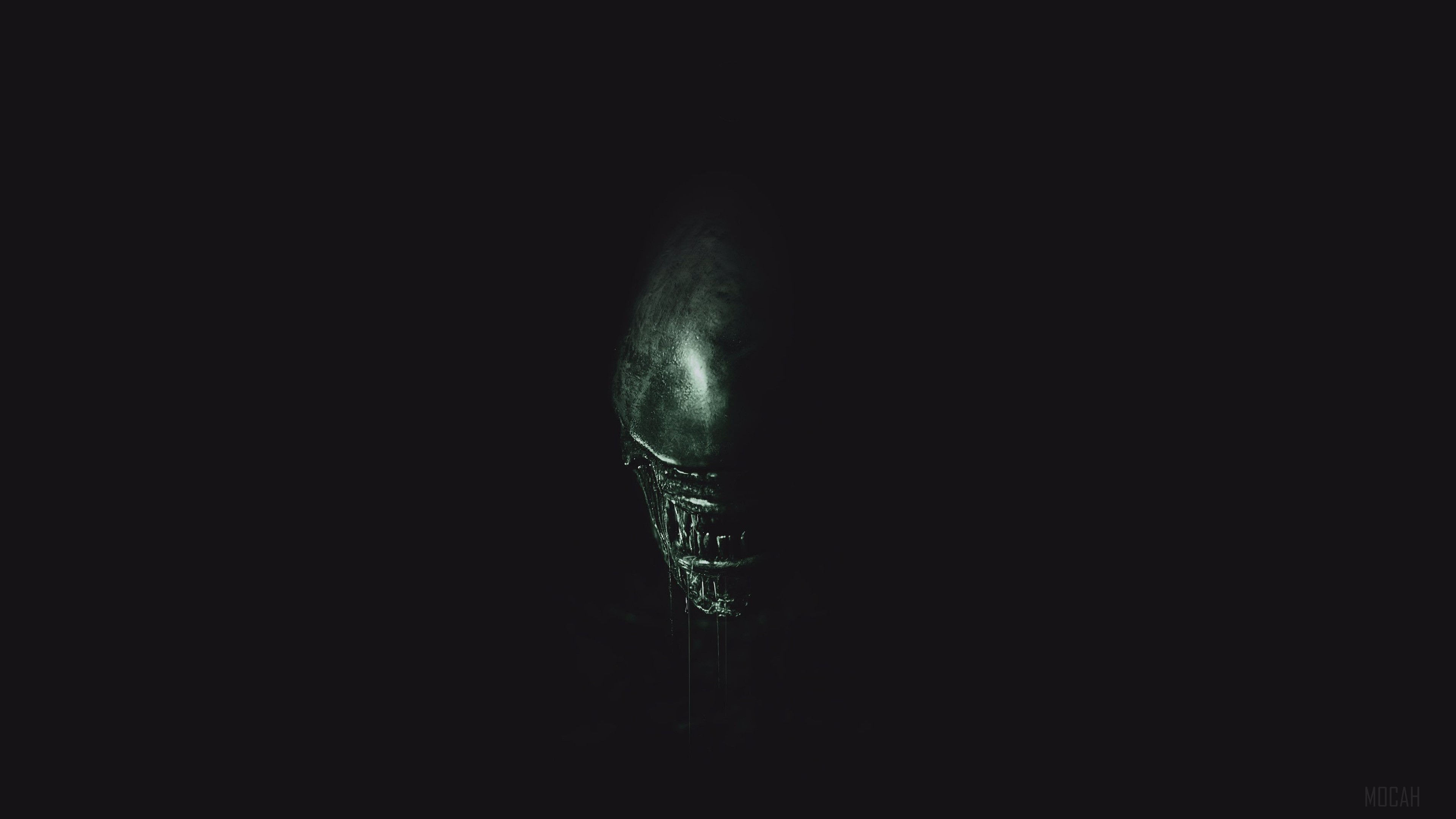 Alien from Alien Covenant 4K HD Wallpaper
