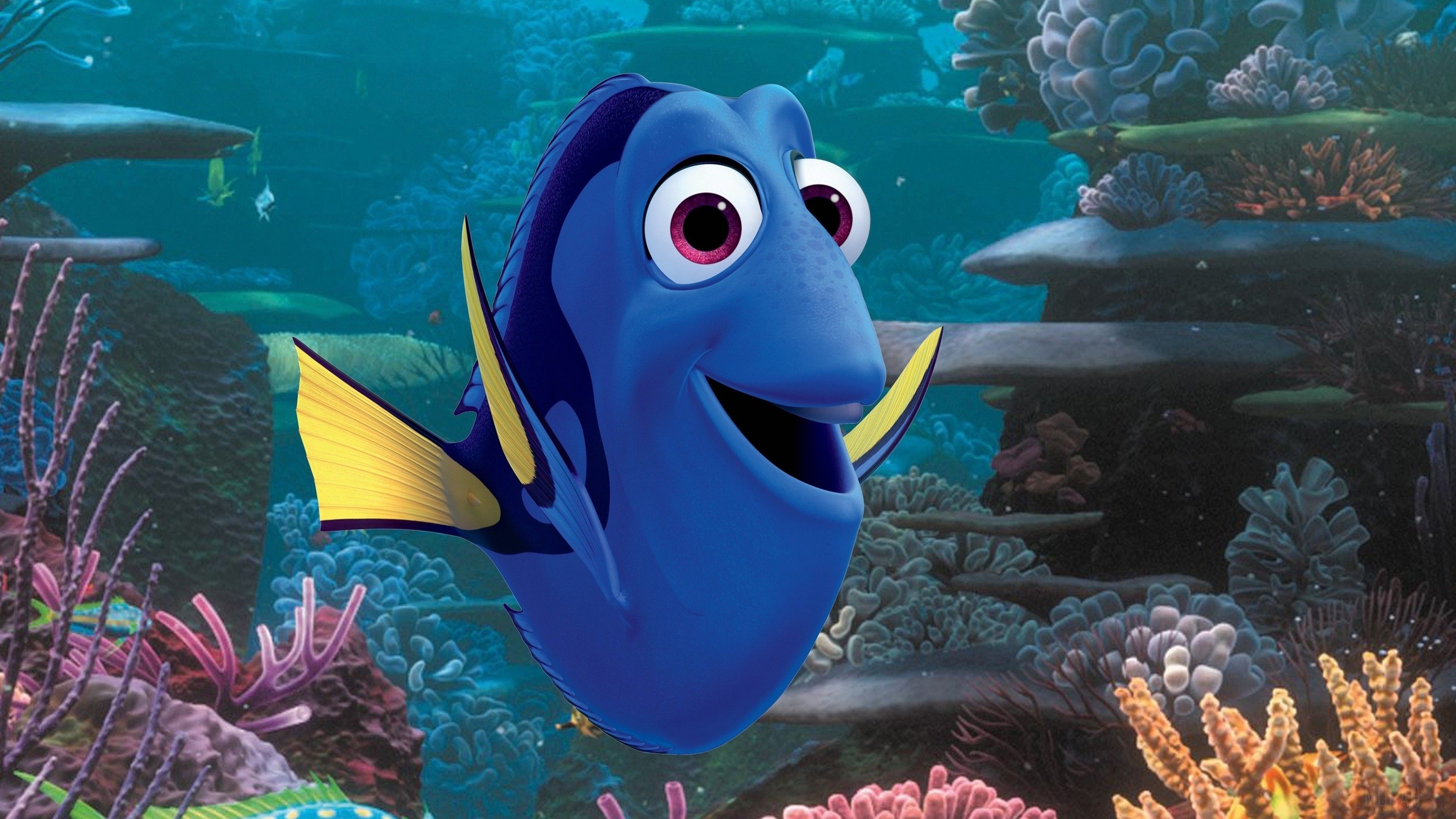 Dory from Finding Nemo 4K HD Wallpaper