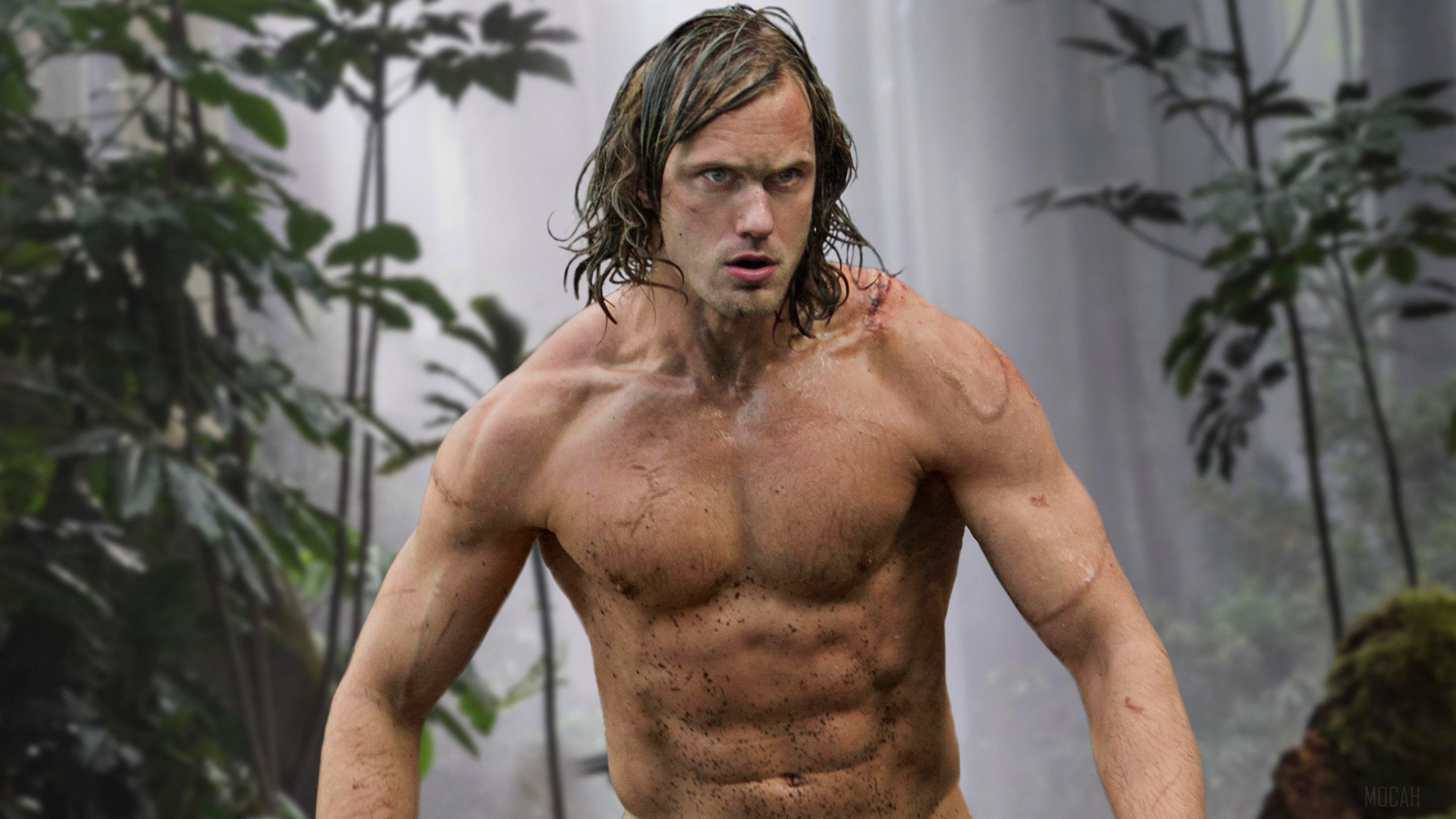Alexander Skarsgard as Tarzan in 4K HD Wallpaper