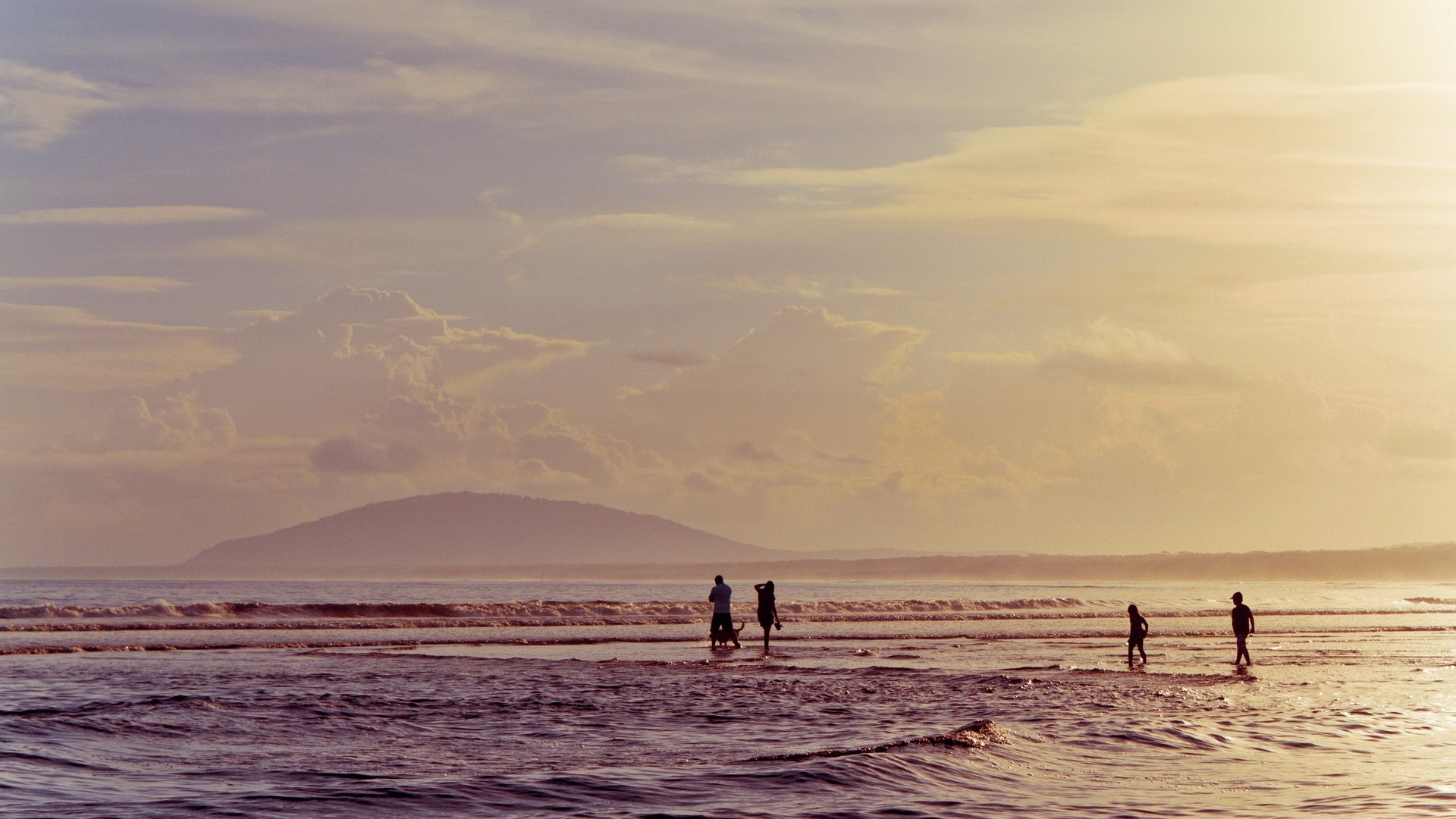 Silhouettes of people and a dog on a beach at sunset HD Wallpaper