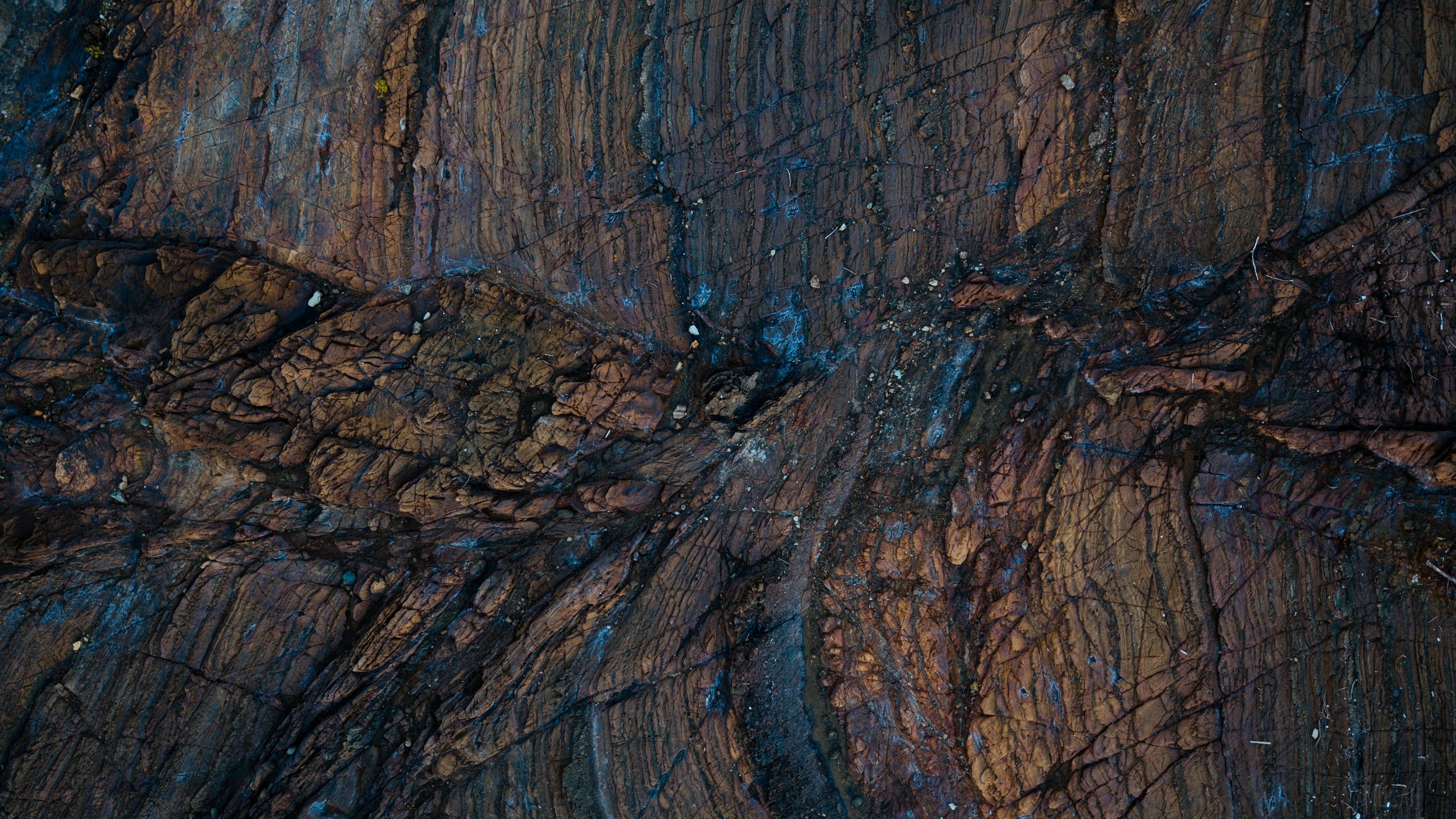 Close-up of a wet, textured rock surface HD Wallpaper