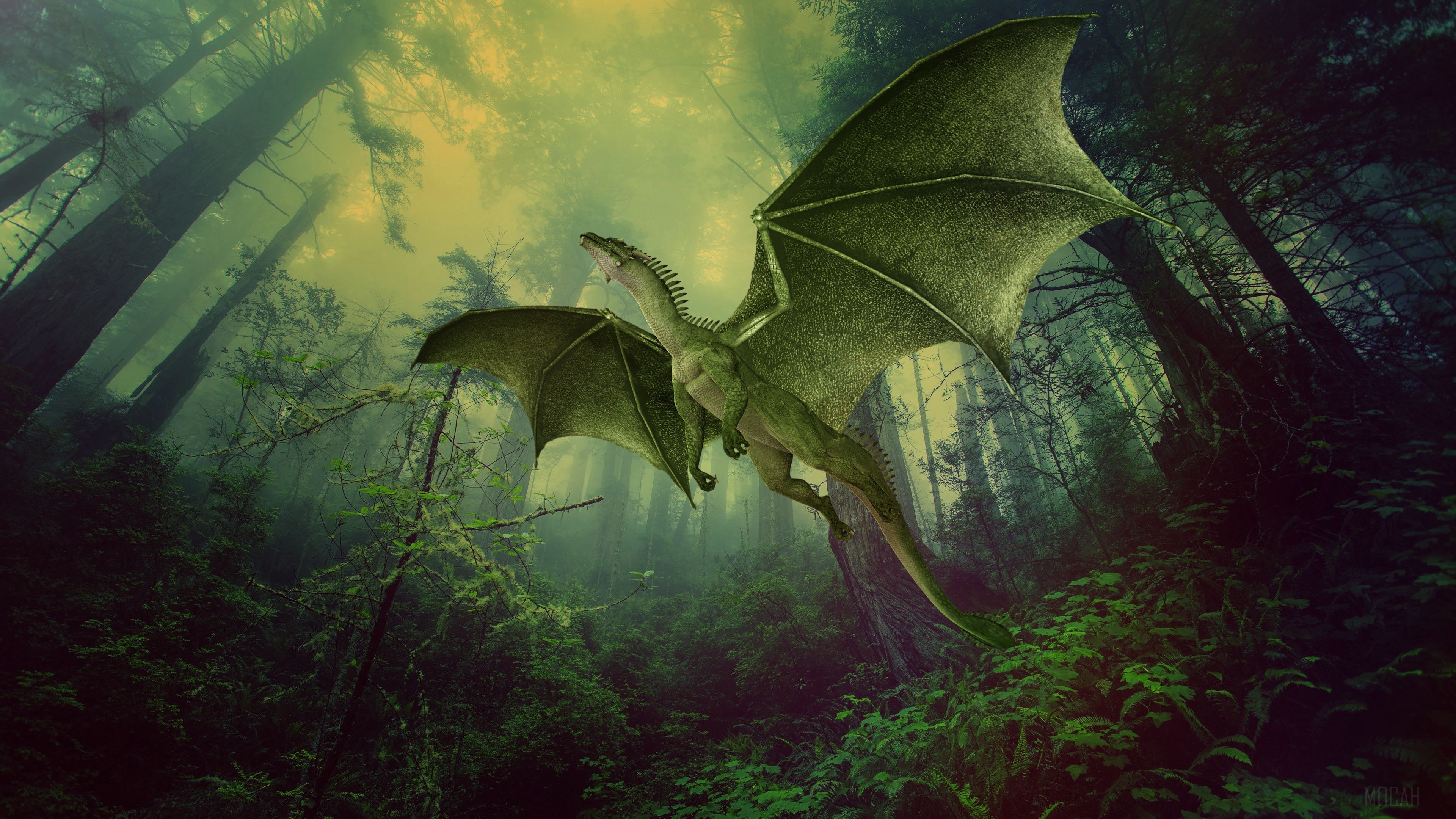 Green dragon flying in a foggy forest HD Wallpaper