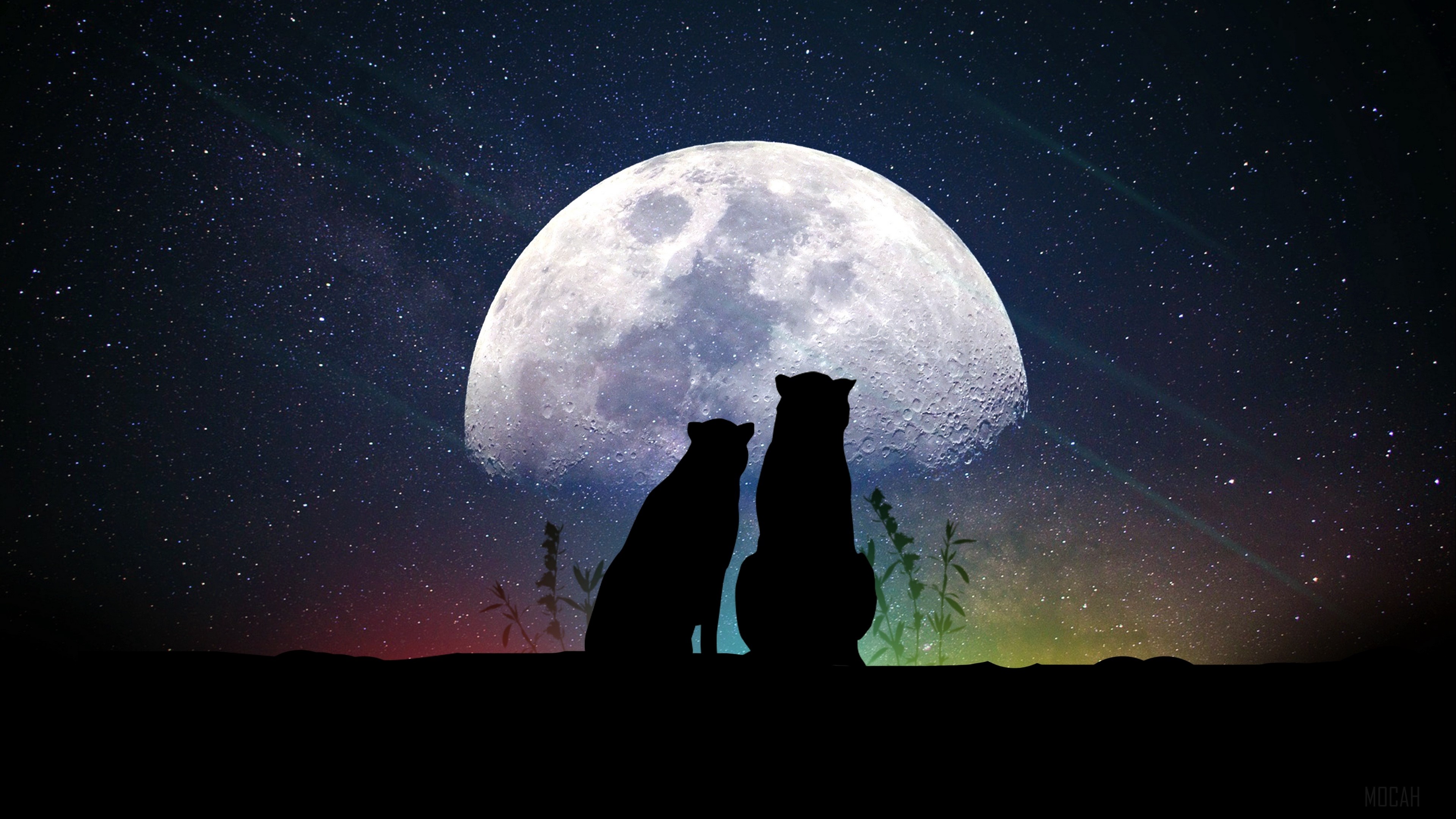 Two cheetahs silhouetted against a large moon and starry sky HD Wallpaper