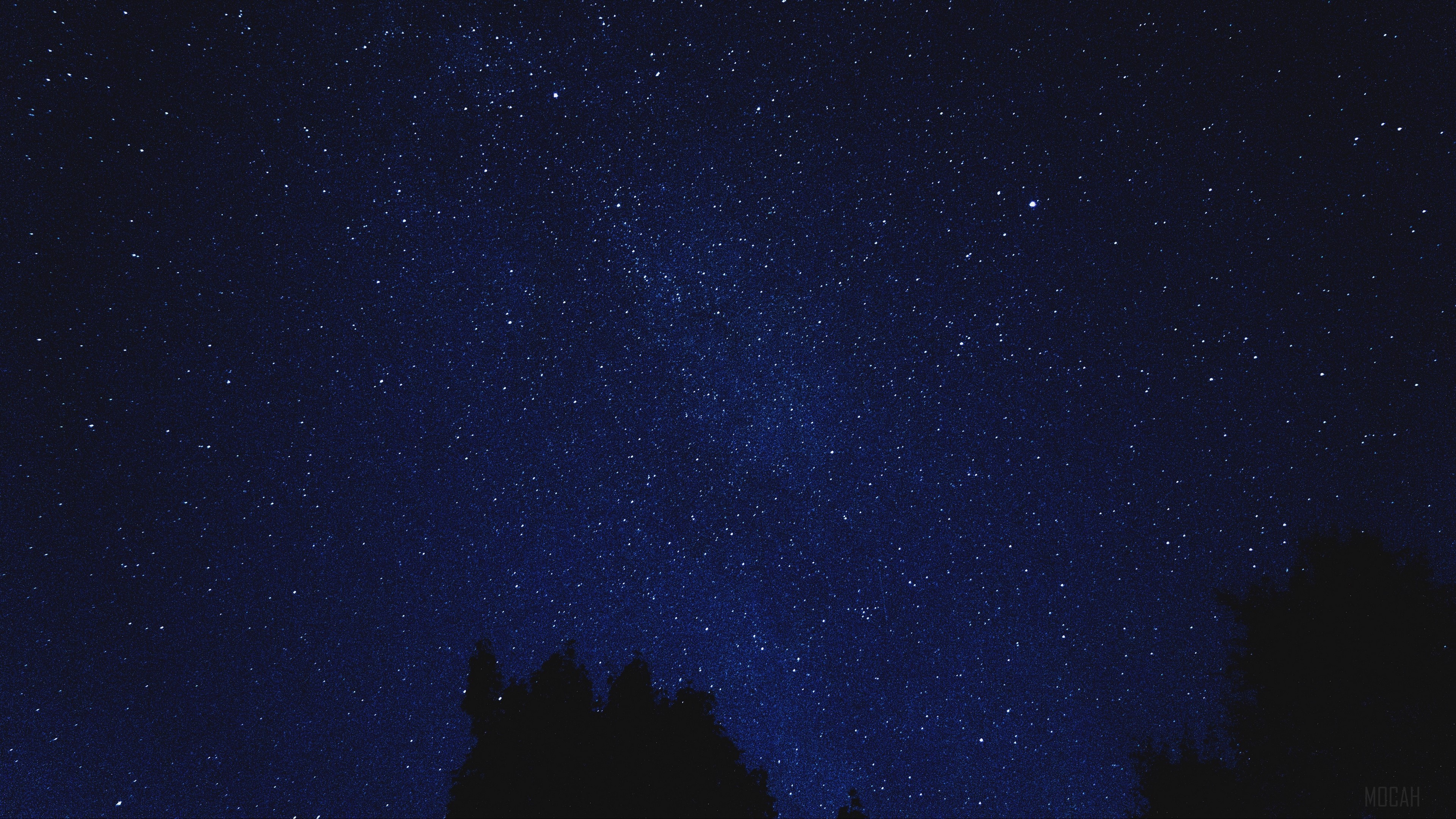 Starry night sky with trees HD Wallpaper