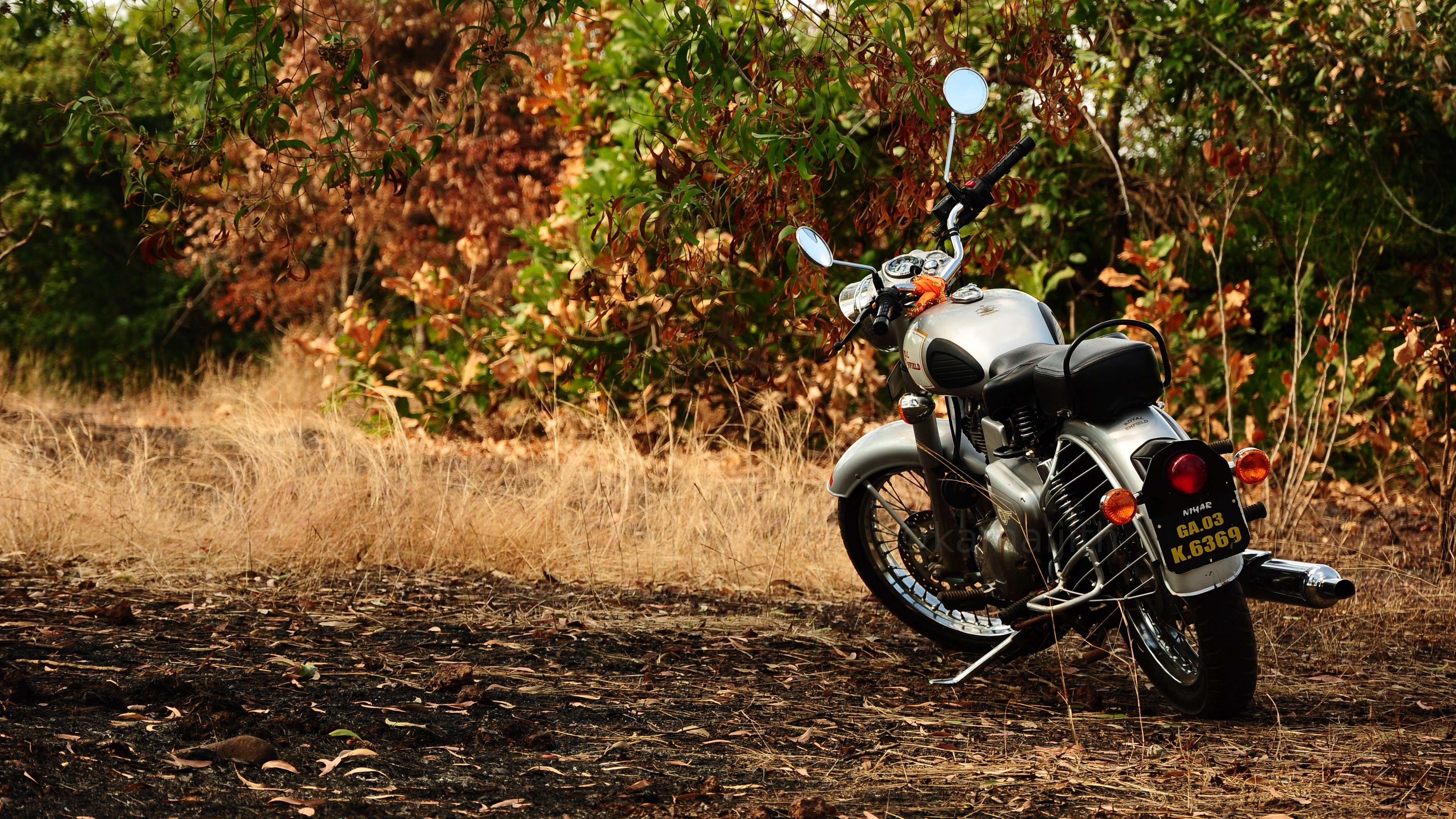 Silver Royal Enfield motorcycle in autumn forest HD Wallpaper