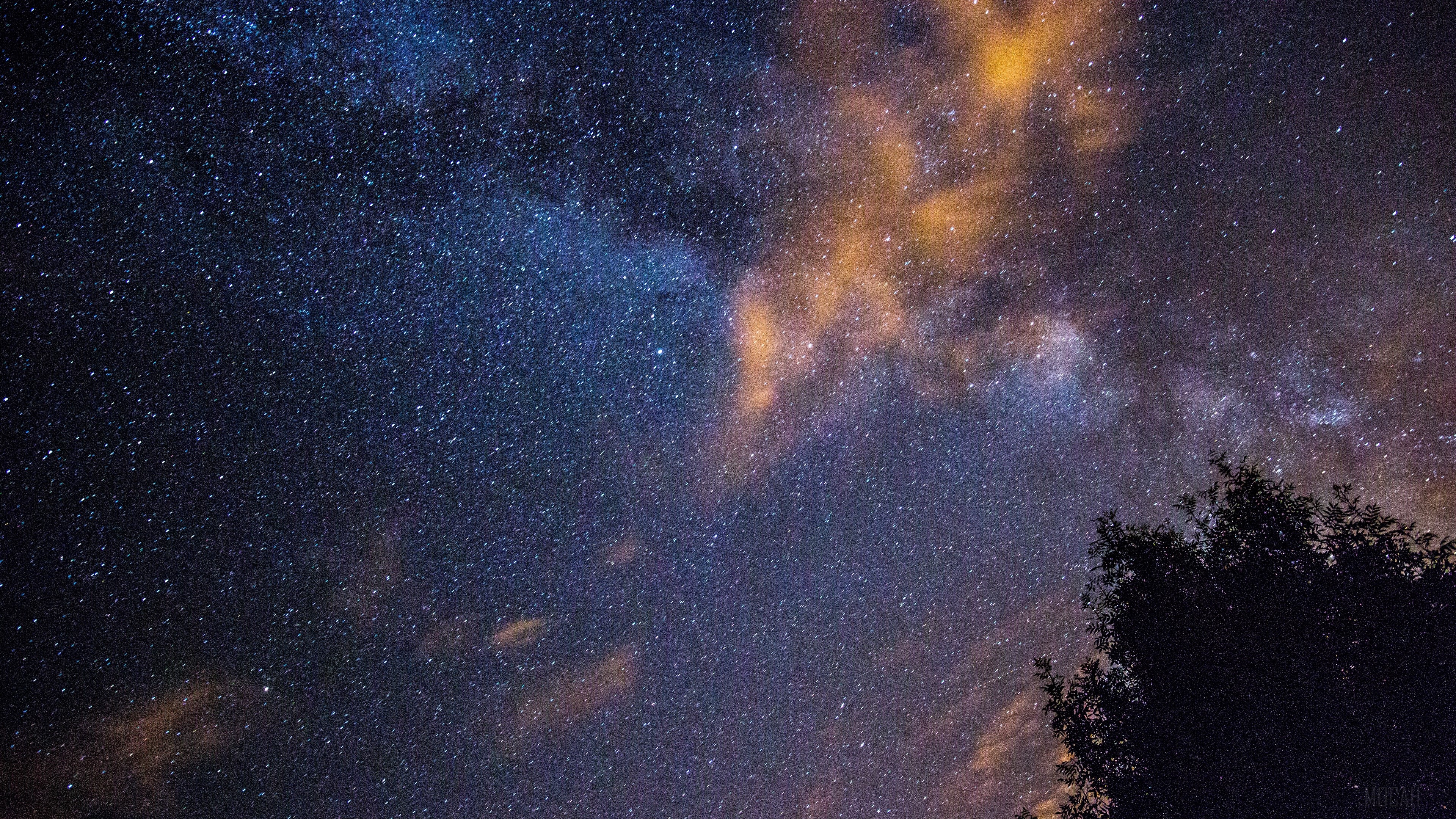 Starry night sky with clouds and tree HD Wallpaper