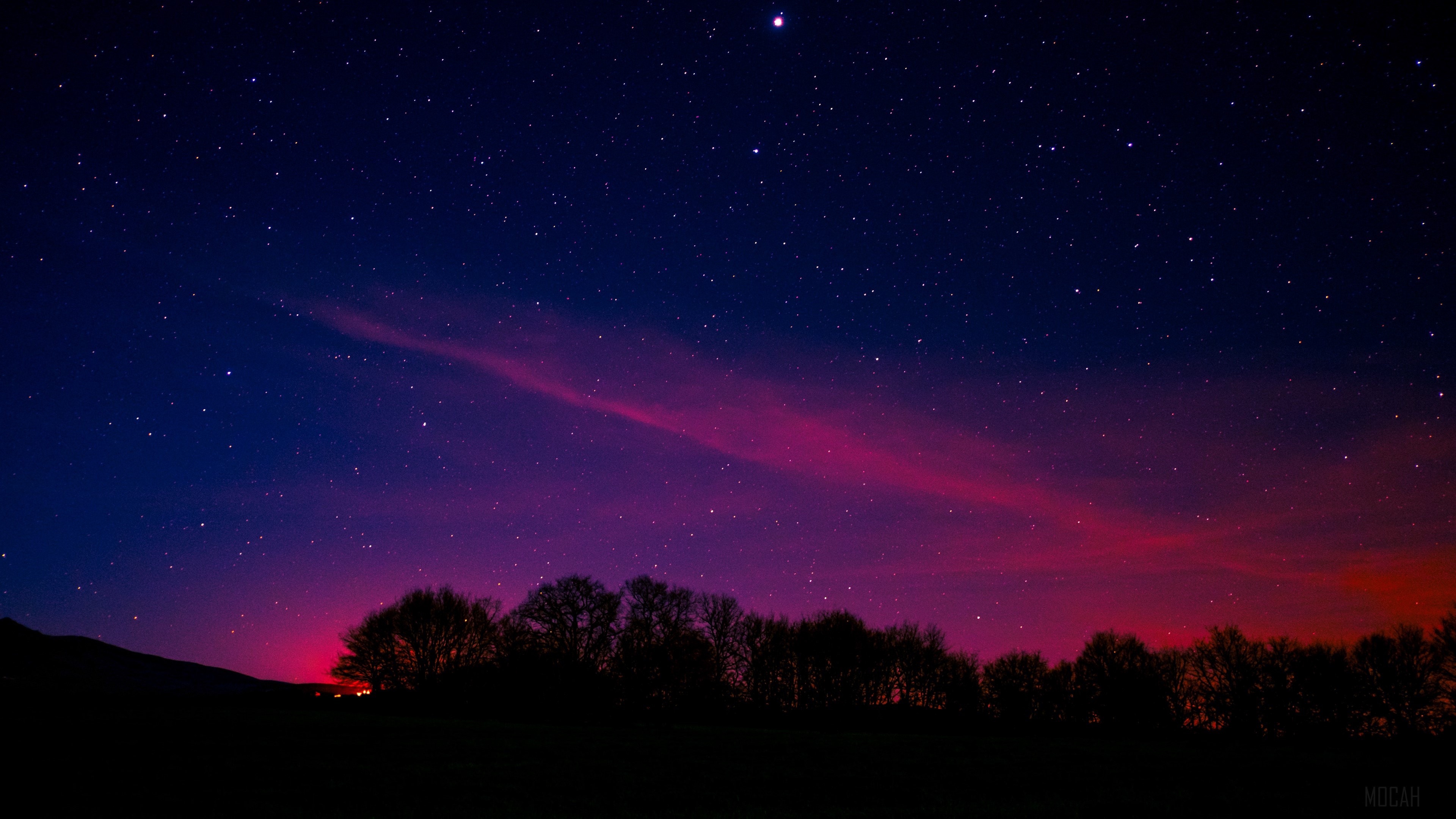 Starry night sky over silhouetted trees HD Wallpaper