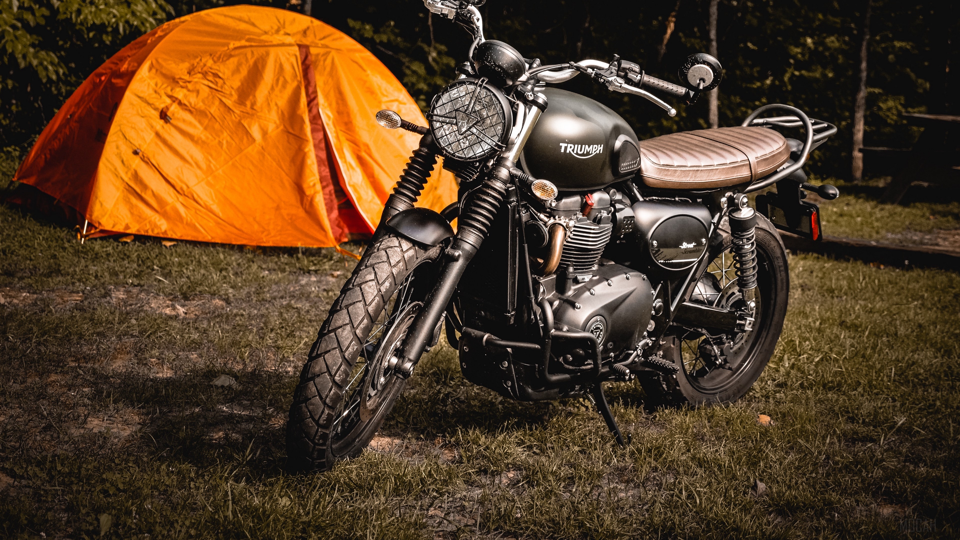 Triumph motorcycle parked next to orange tent on grass 4K HD Wallpaper
