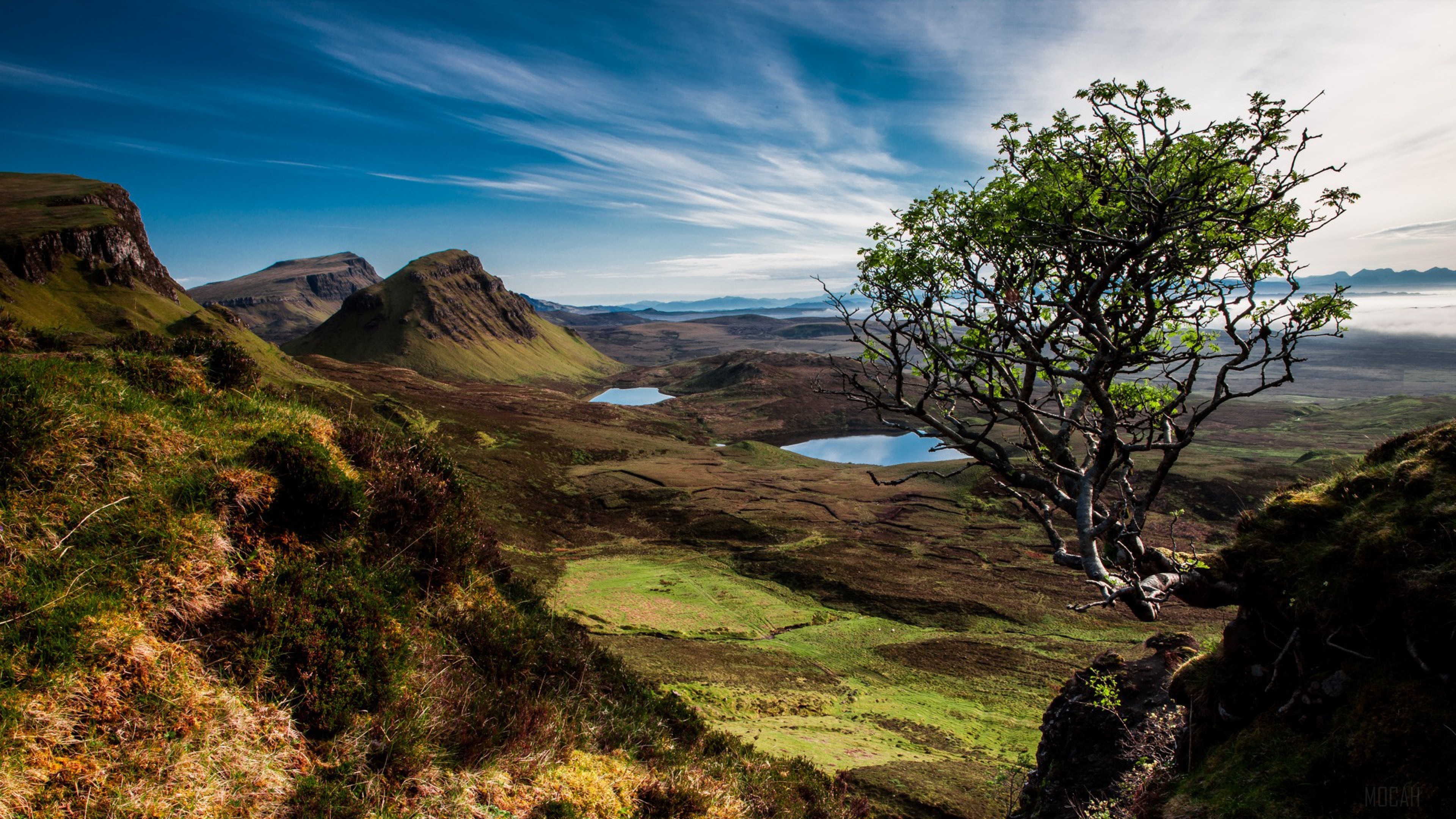 Scotland Mountains and Lakes with Tree 4K HD Wallpaper