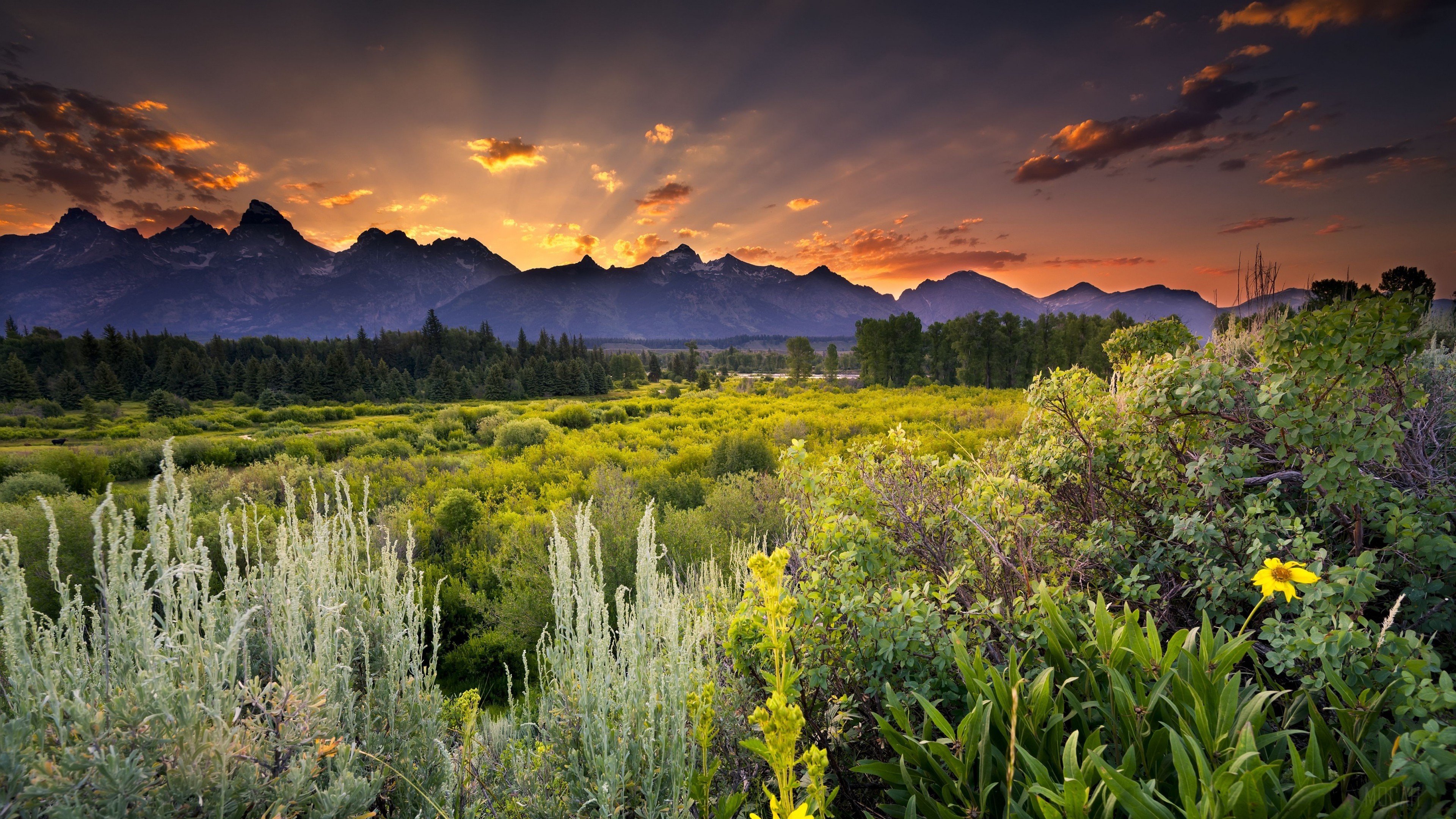 Grand Teton Mountains at Sunset HD Wallpaper