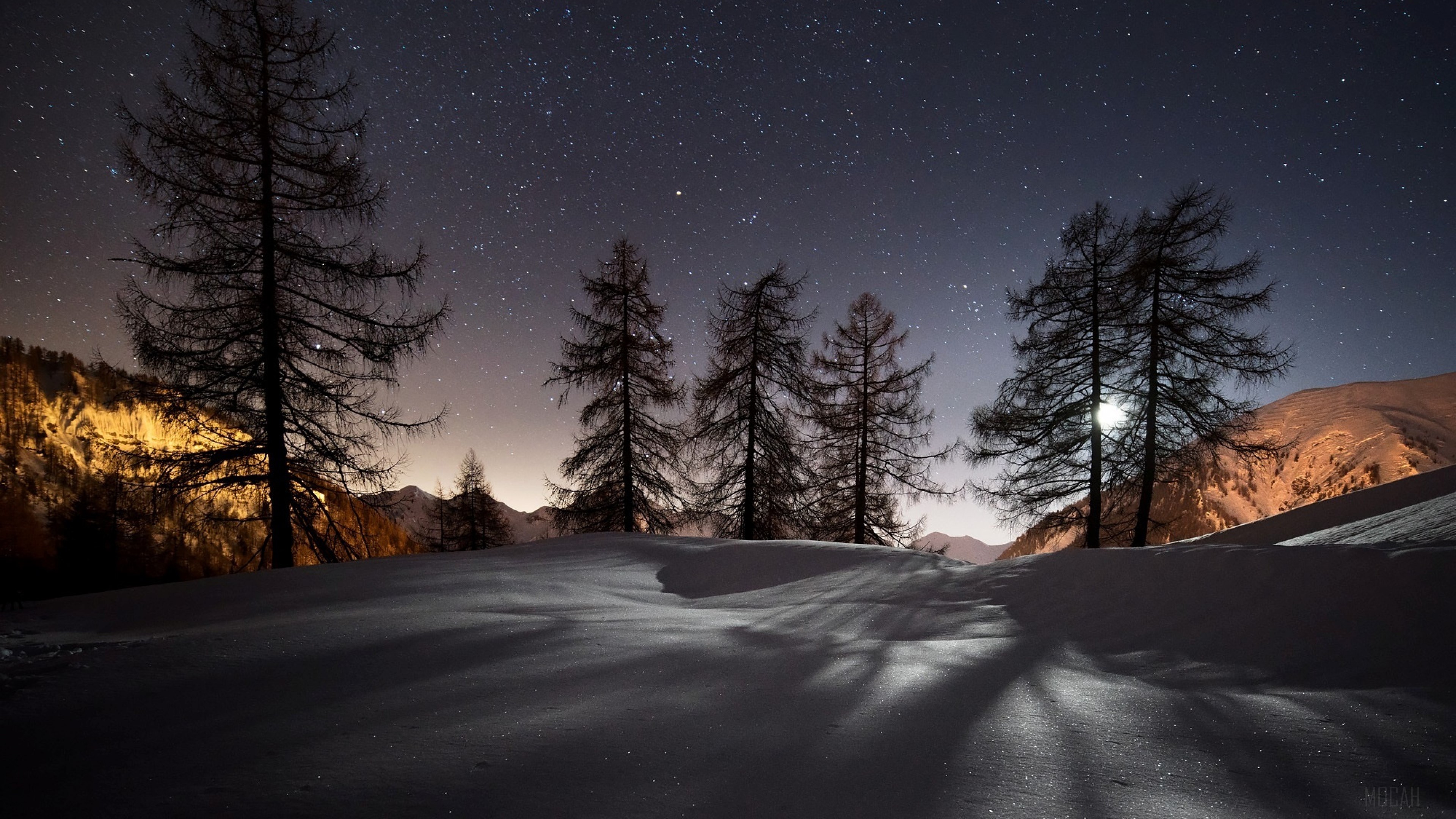 Winter Trees Under Starry Night Sky 4K HD Wallpaper
