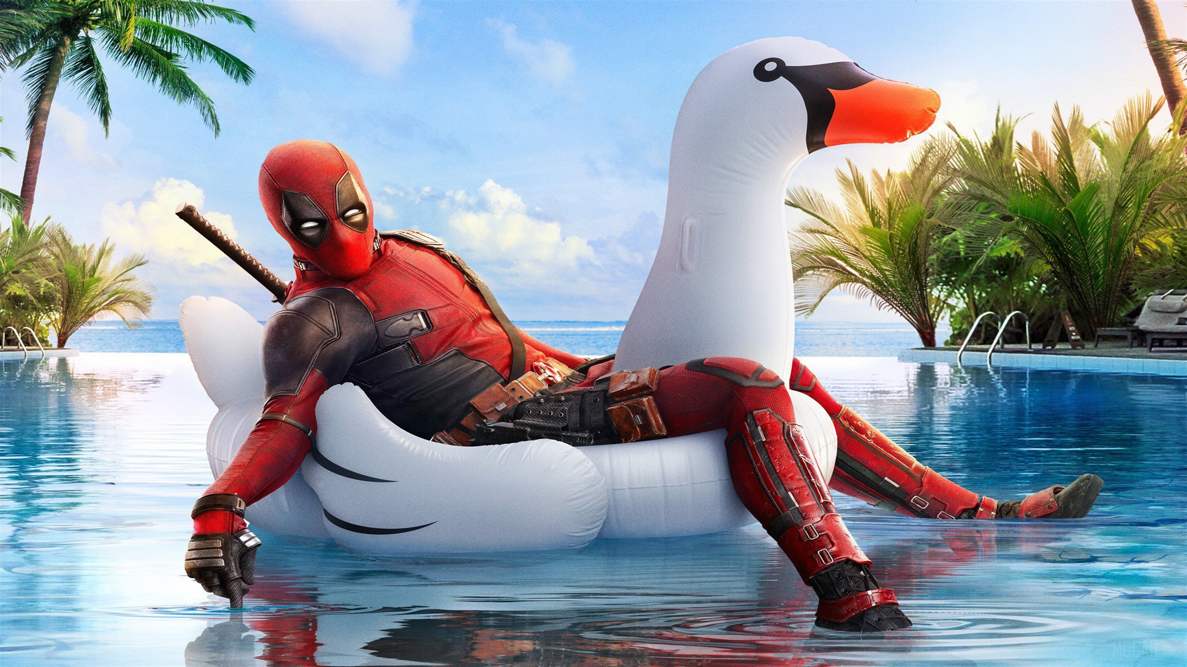 Deadpool on a Swan Float in a Pool HD Wallpaper