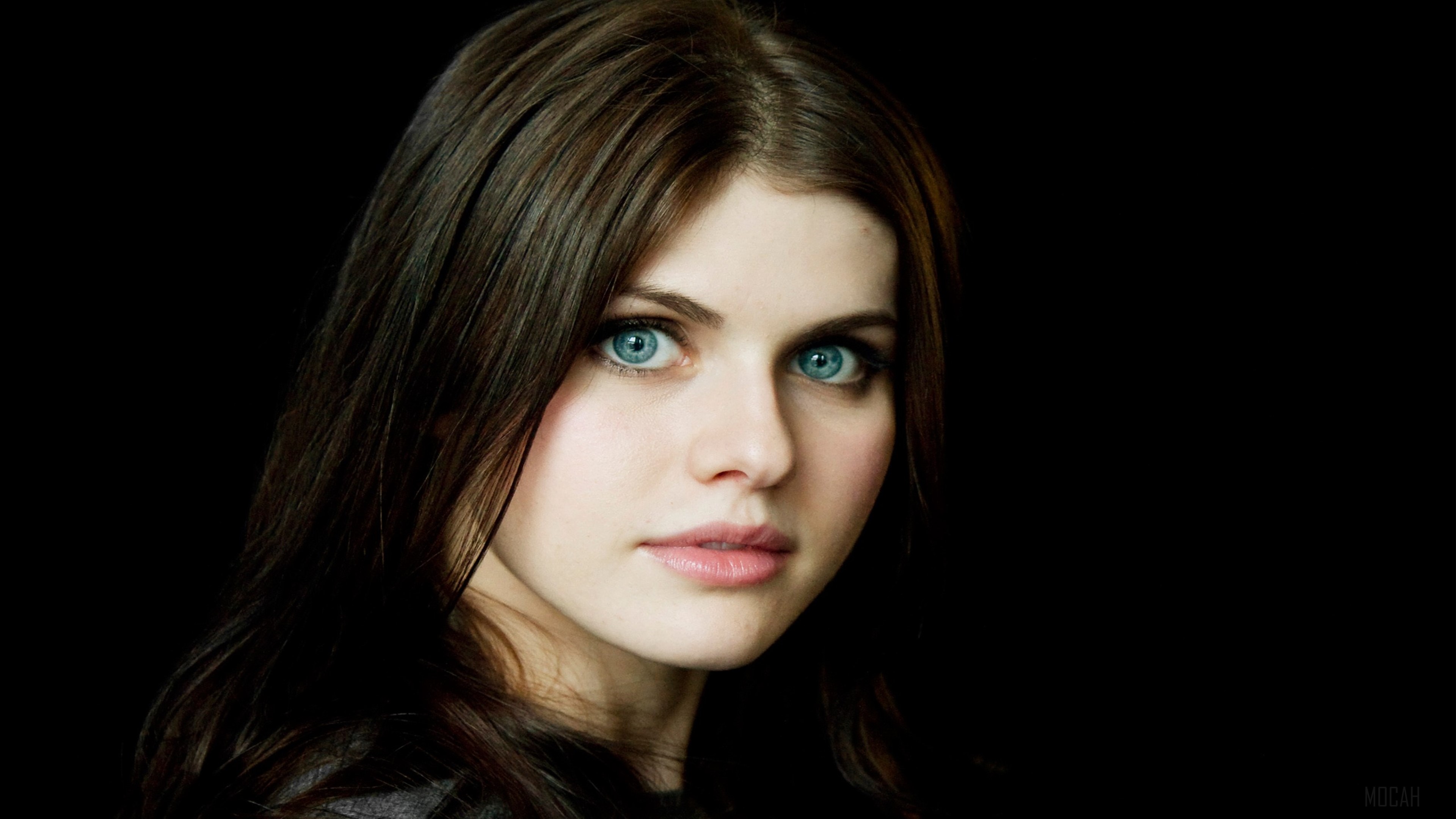 Alexandra Daddario HD Wallpaper