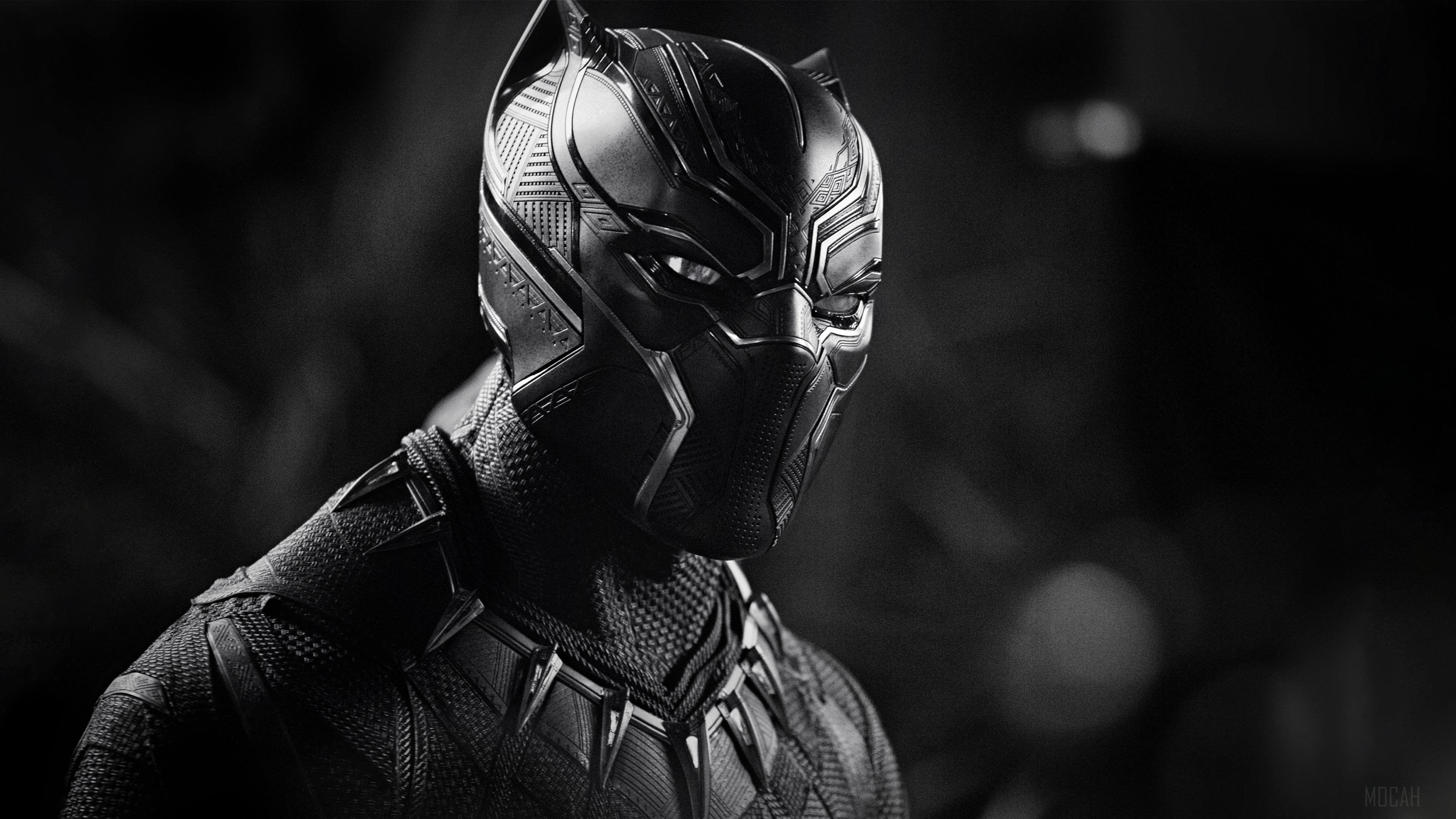 Black Panther HD Wallpaper