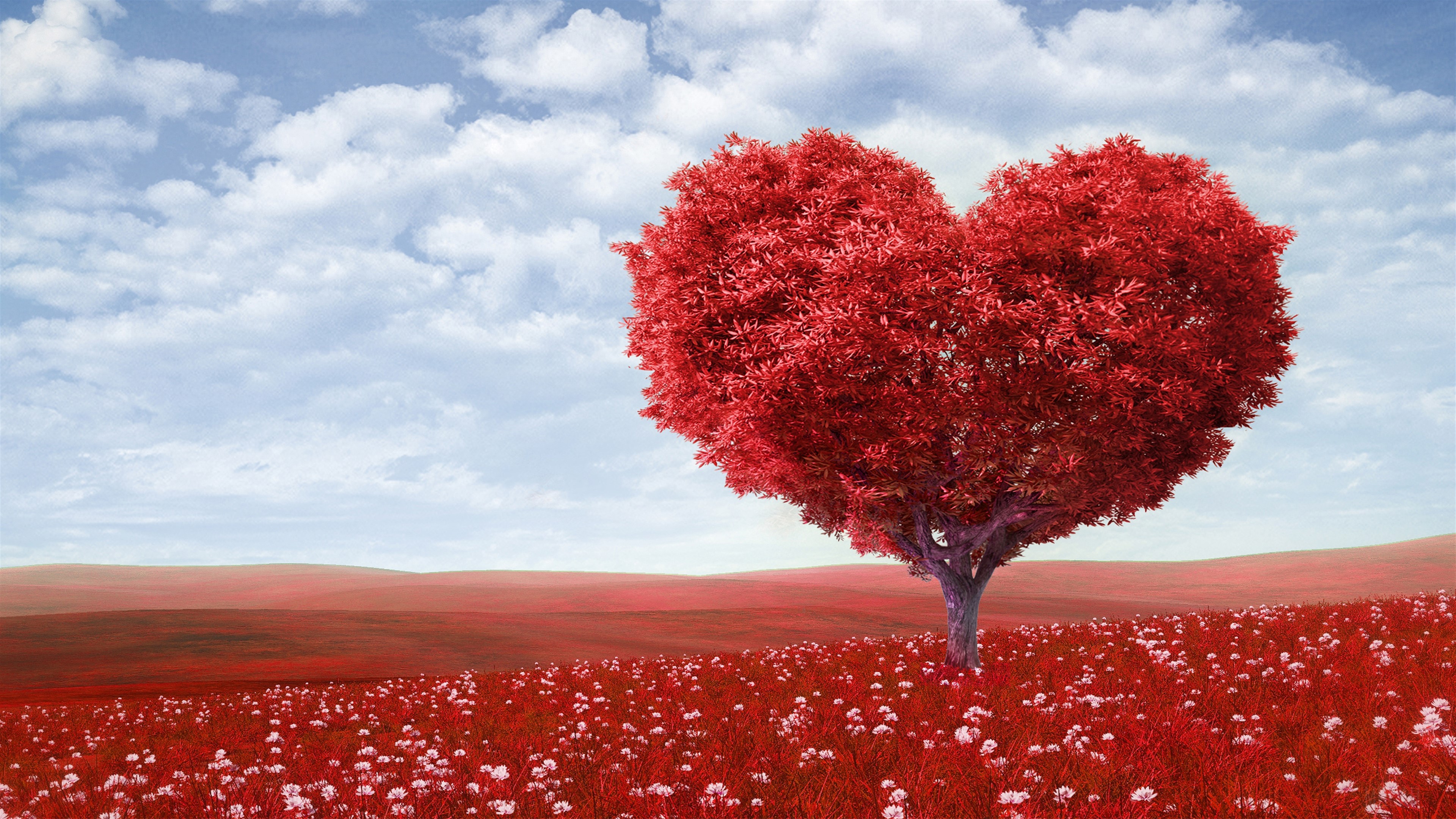 Red Love Heart Tree HD Wallpaper